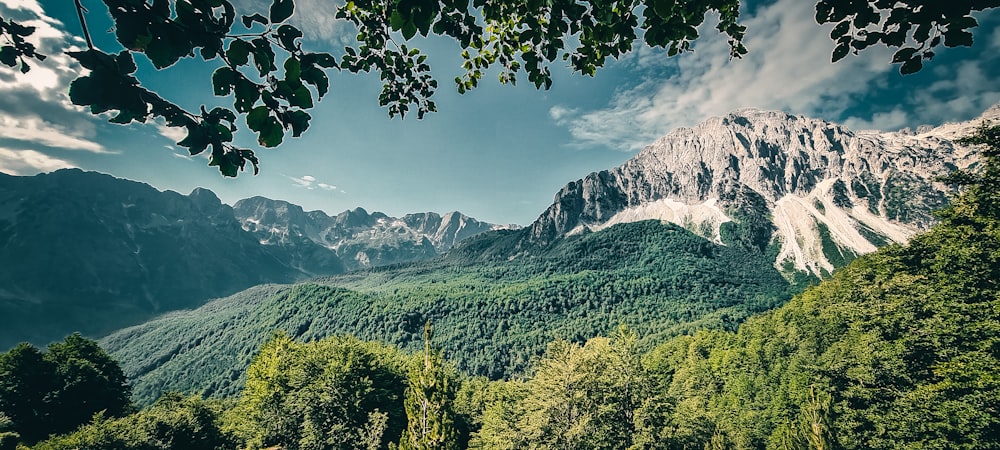 a view of a mountain range with trees and mountains in the background