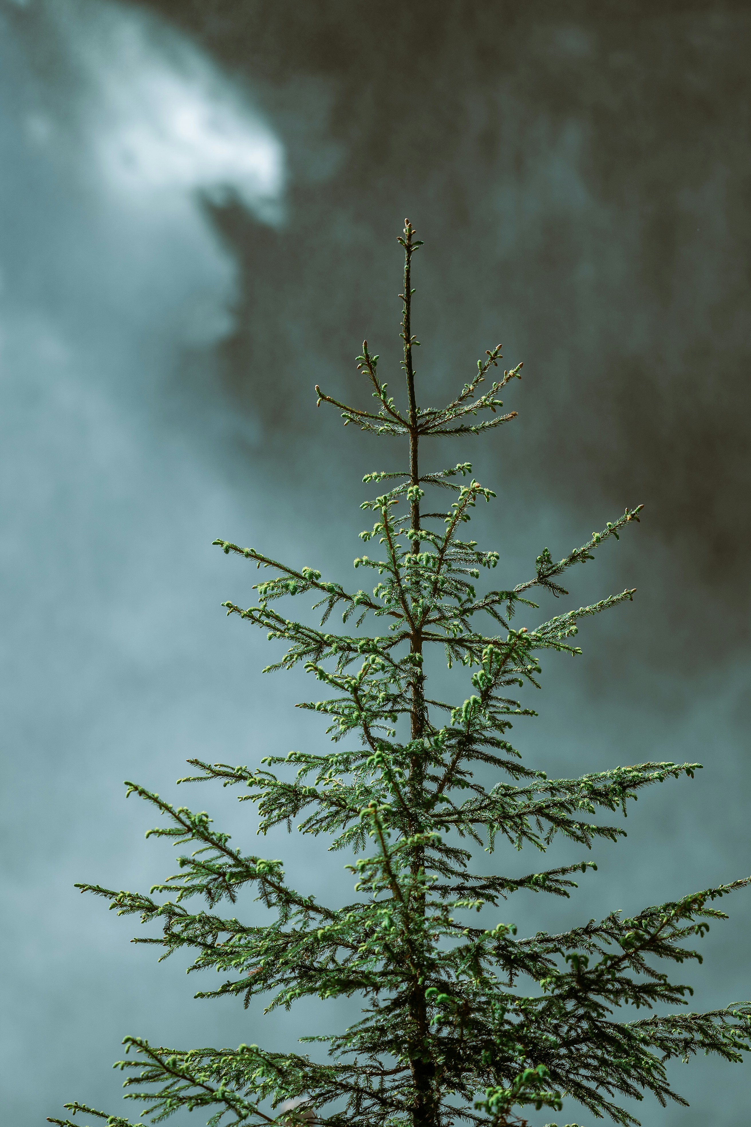 Photo by omarvellous14