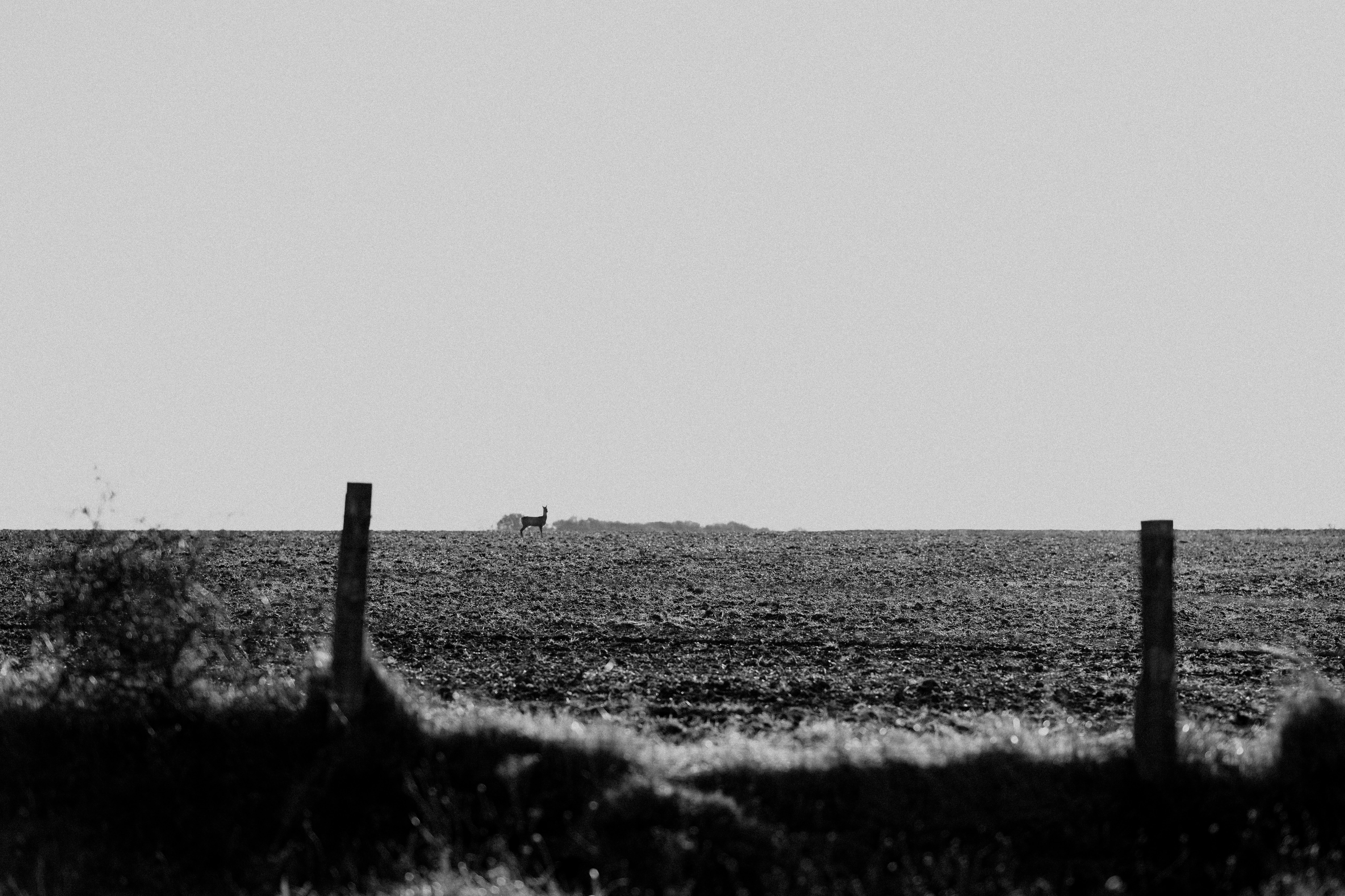 Photo by anniespratt