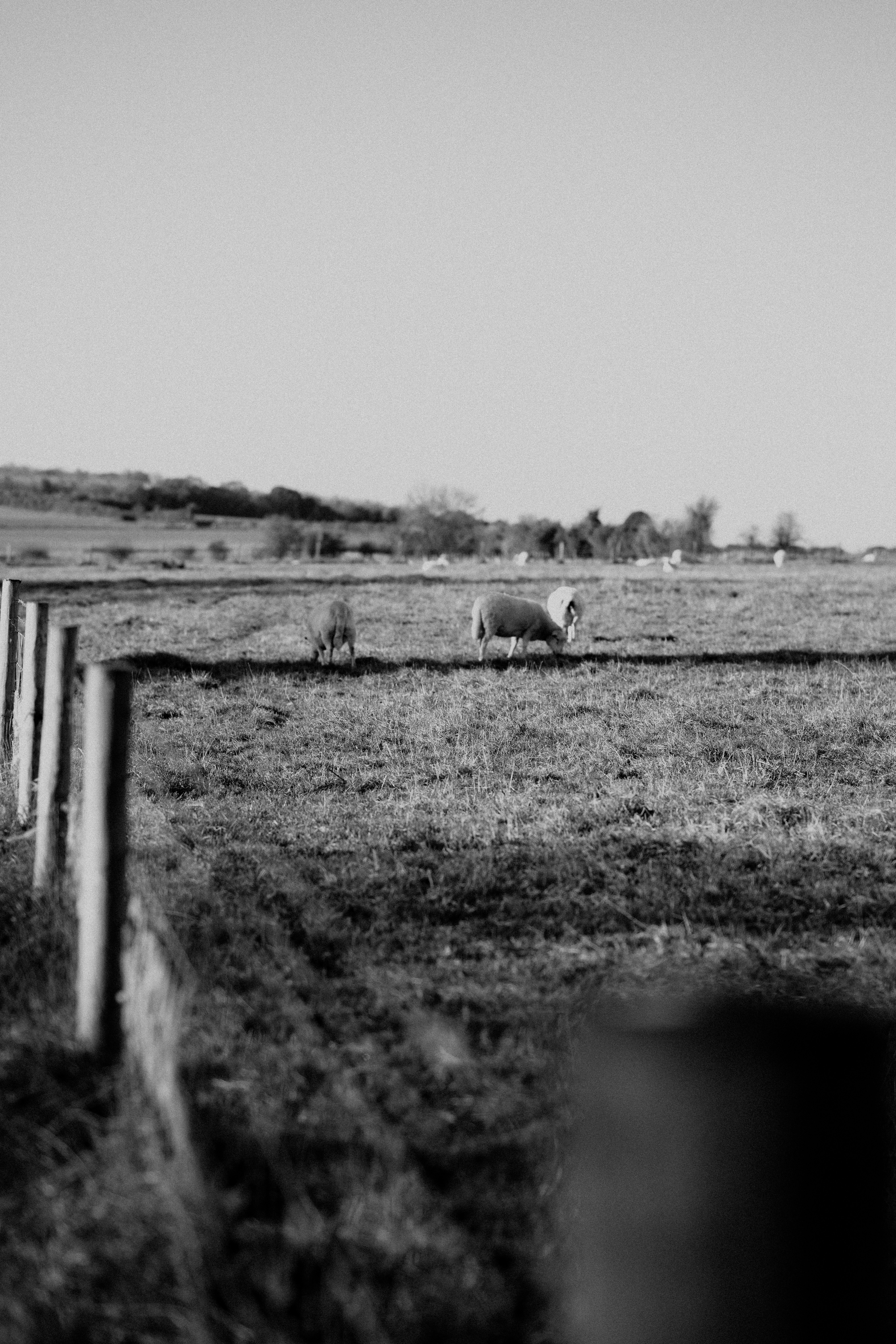 Photo by anniespratt