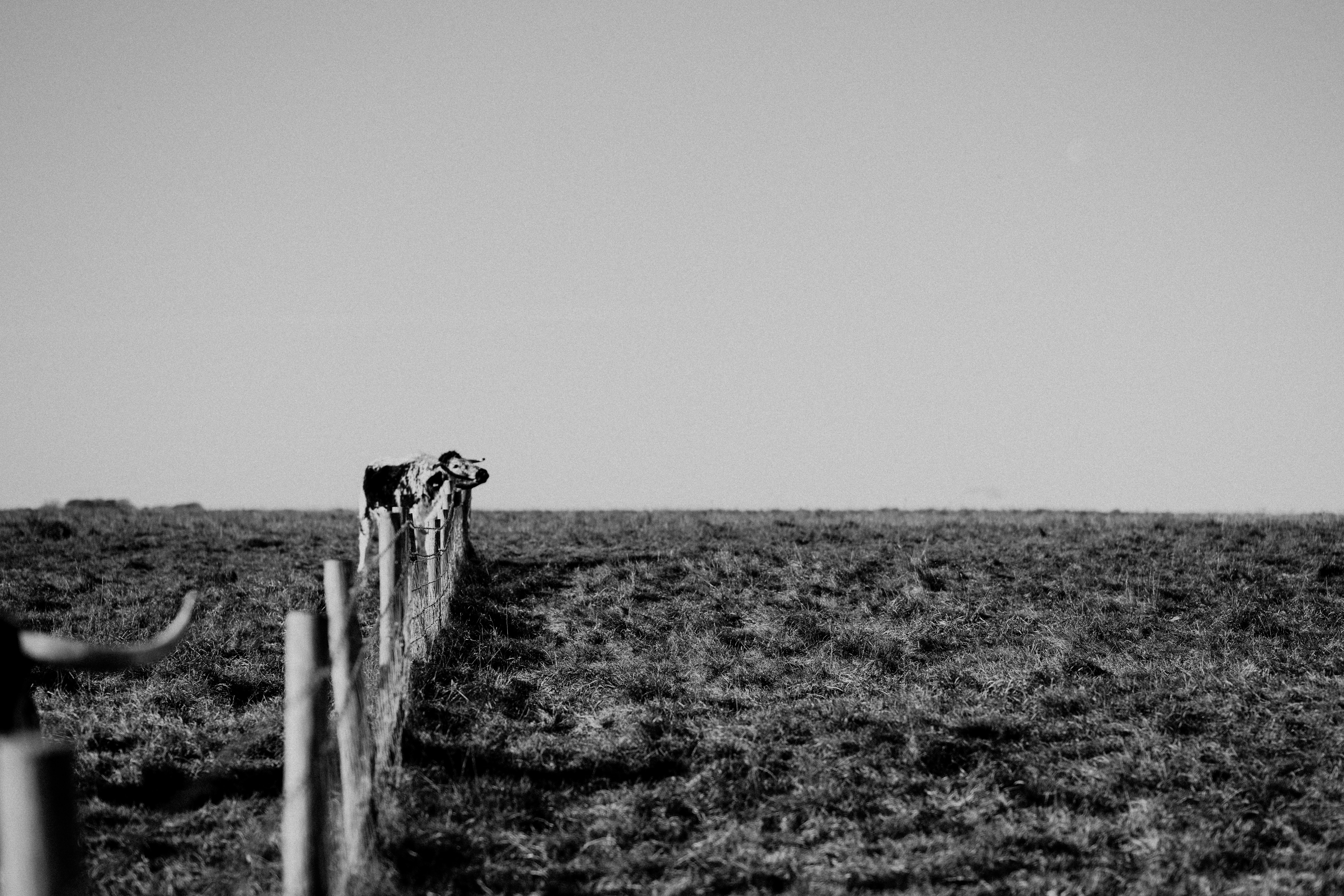 Photo by anniespratt