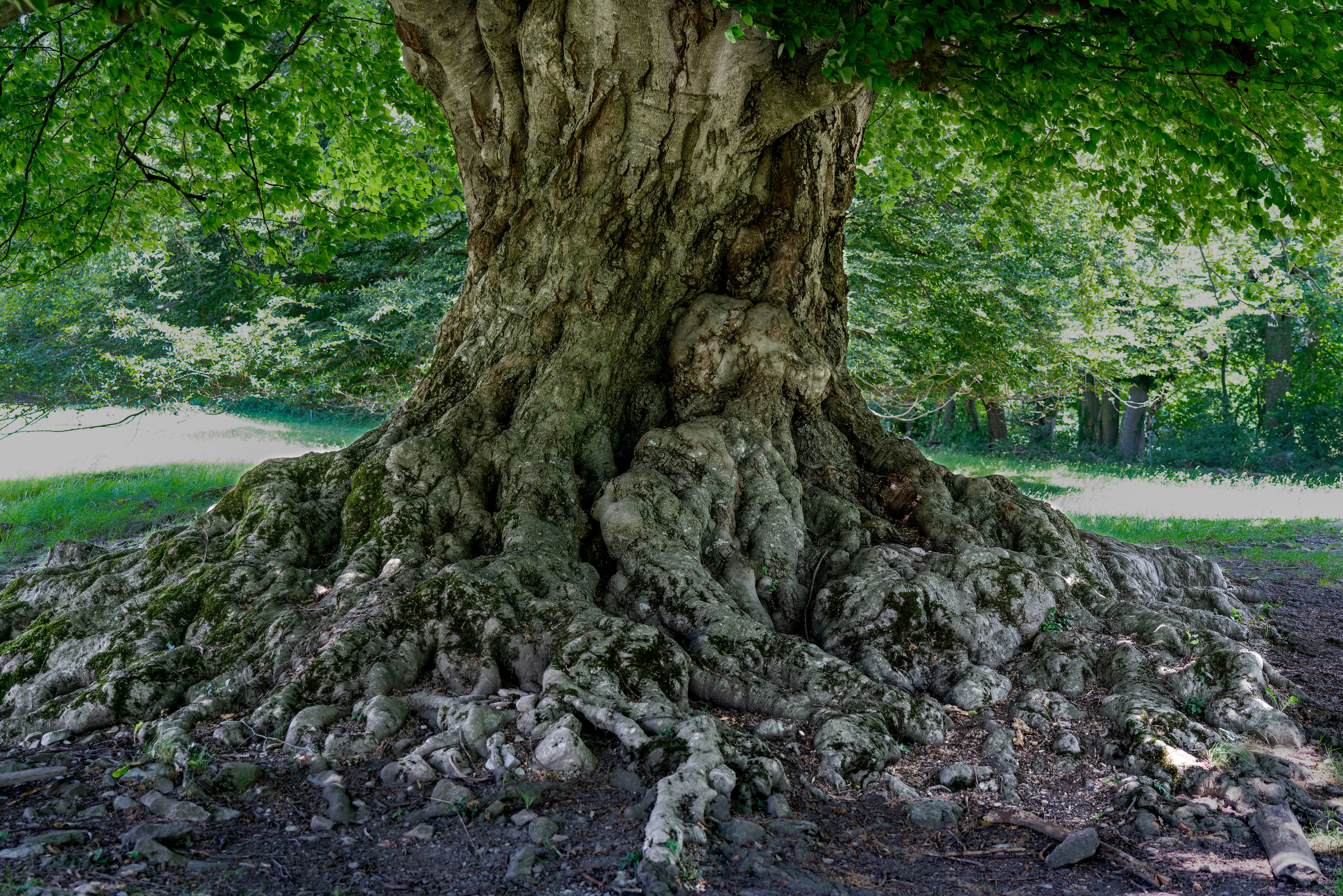 Photo by pepelnar1963