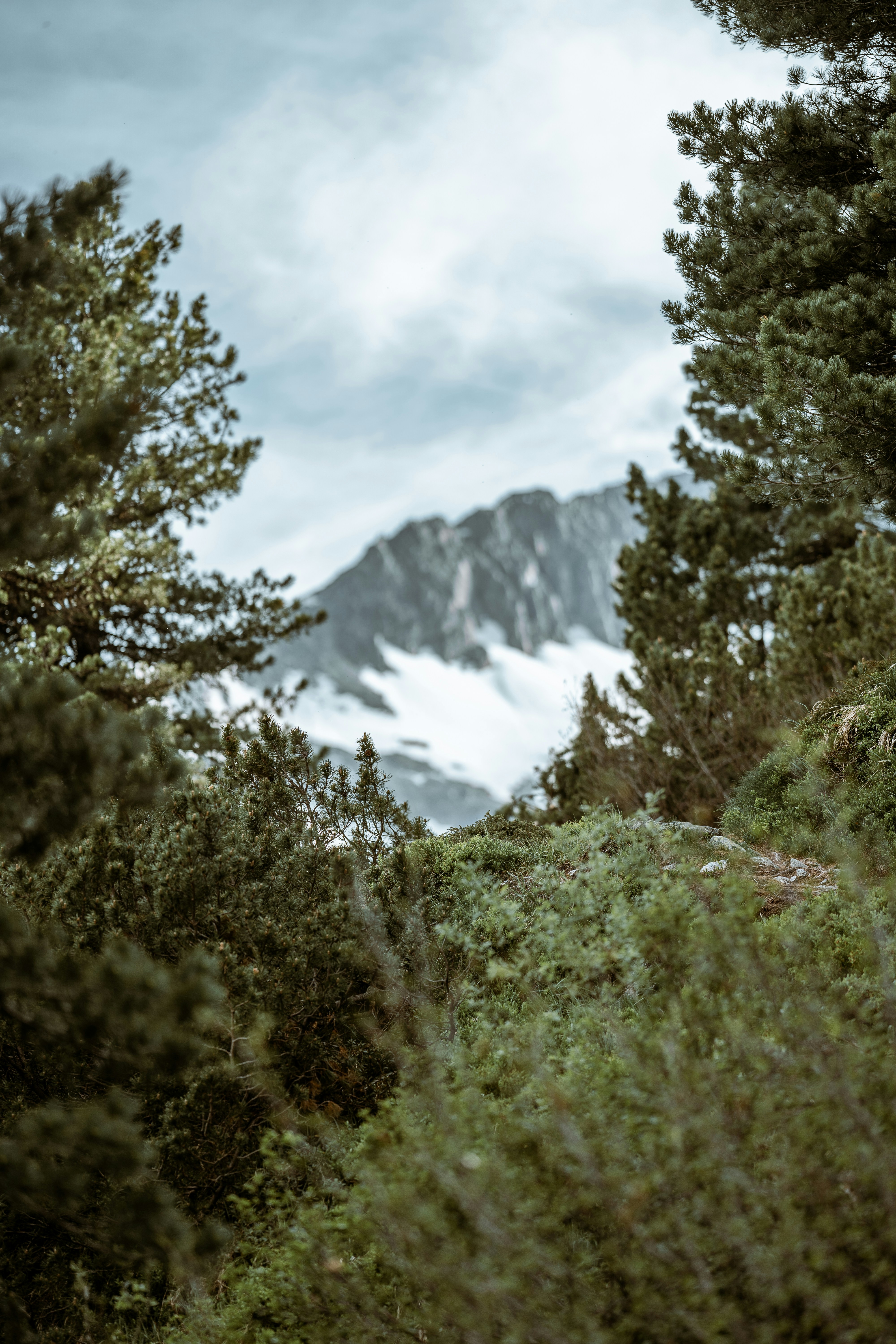 Photo by omarvellous14