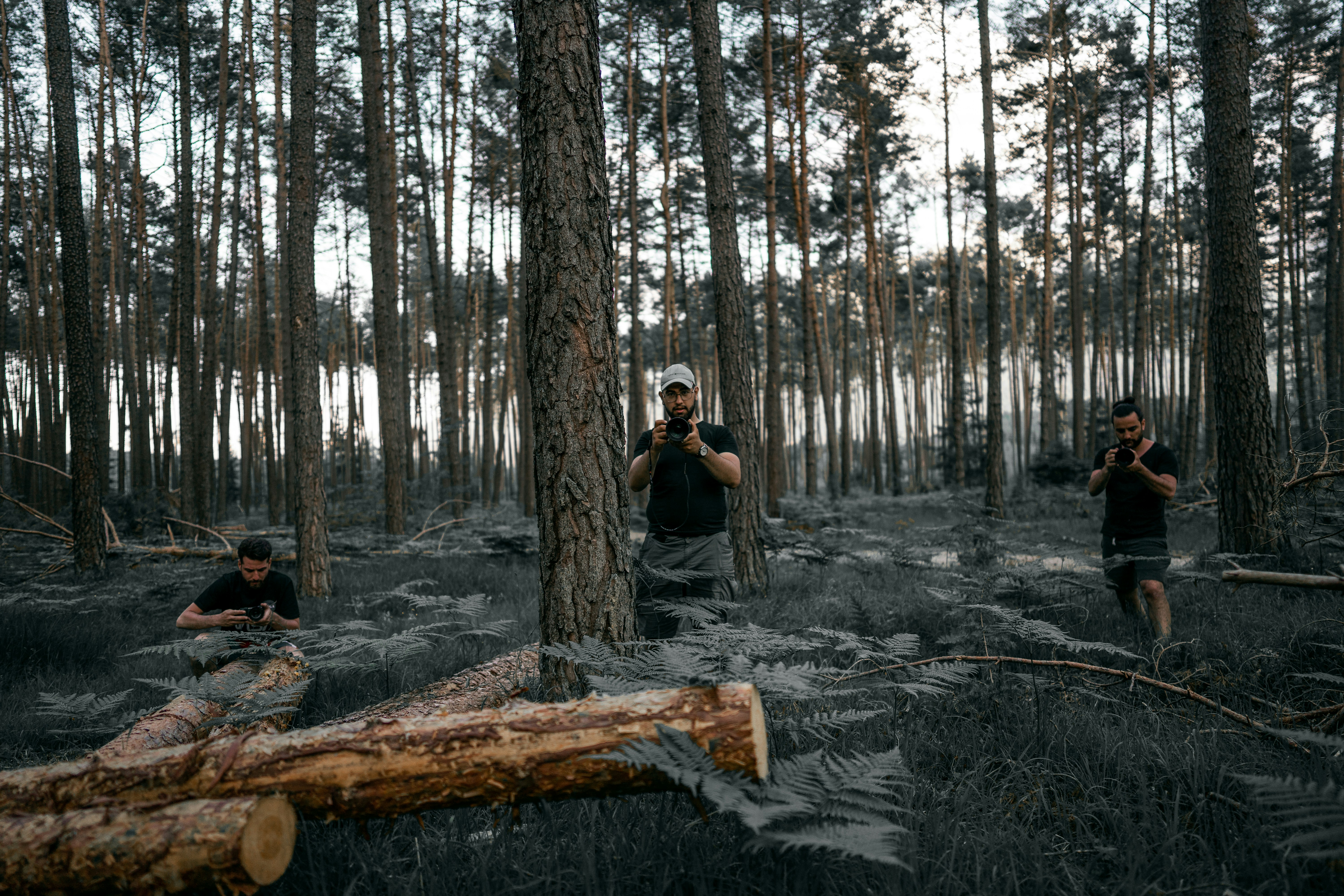 a group of people in the woods taking pictures