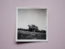 A black and white photograph featuring a person riding a horse as it jumps over a fence. The scene is captured in an outdoor setting with trees in the background and a focus on the equestrian activity. The photograph is a physical print laid on a pink background.