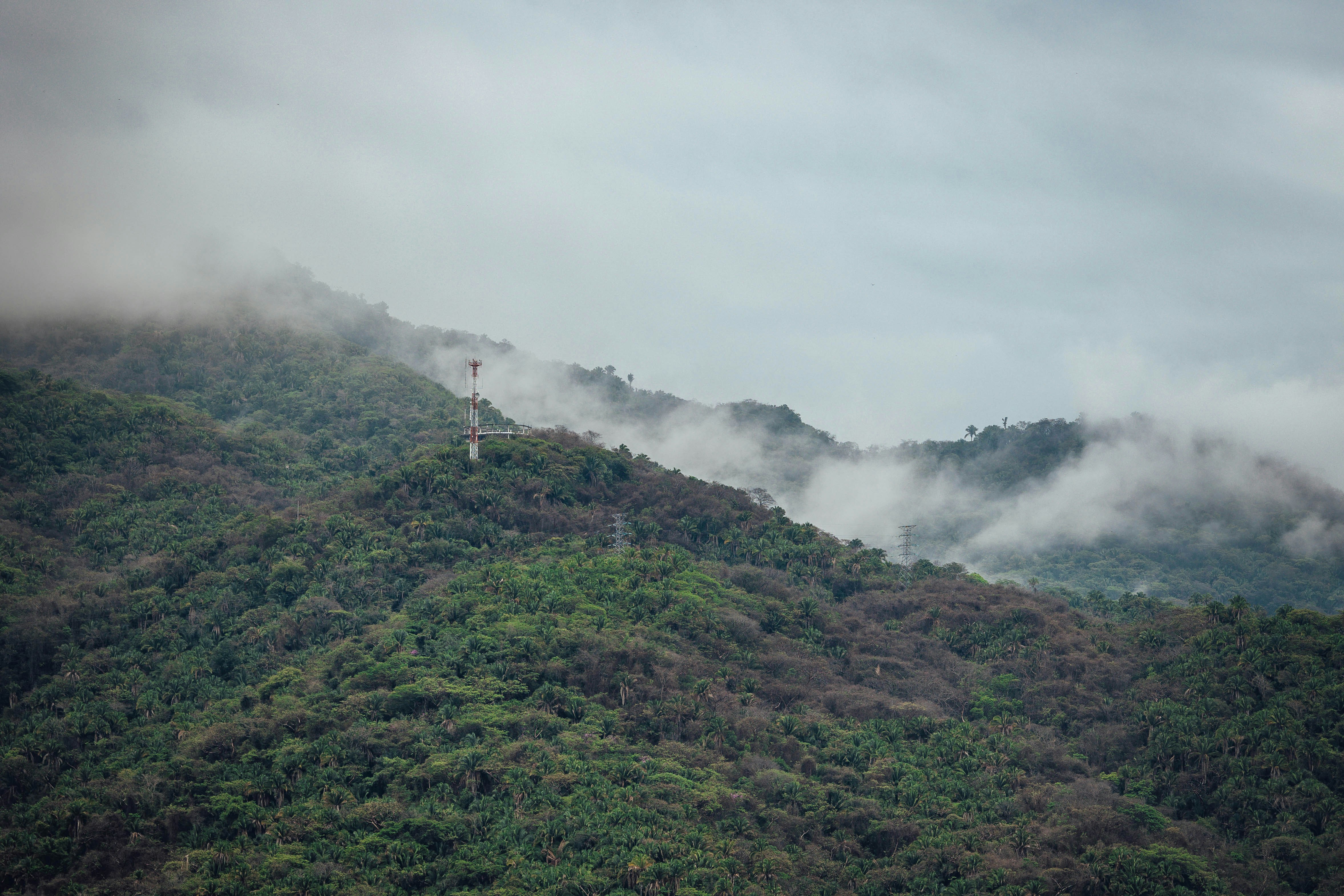 Photo by jeffersonsees