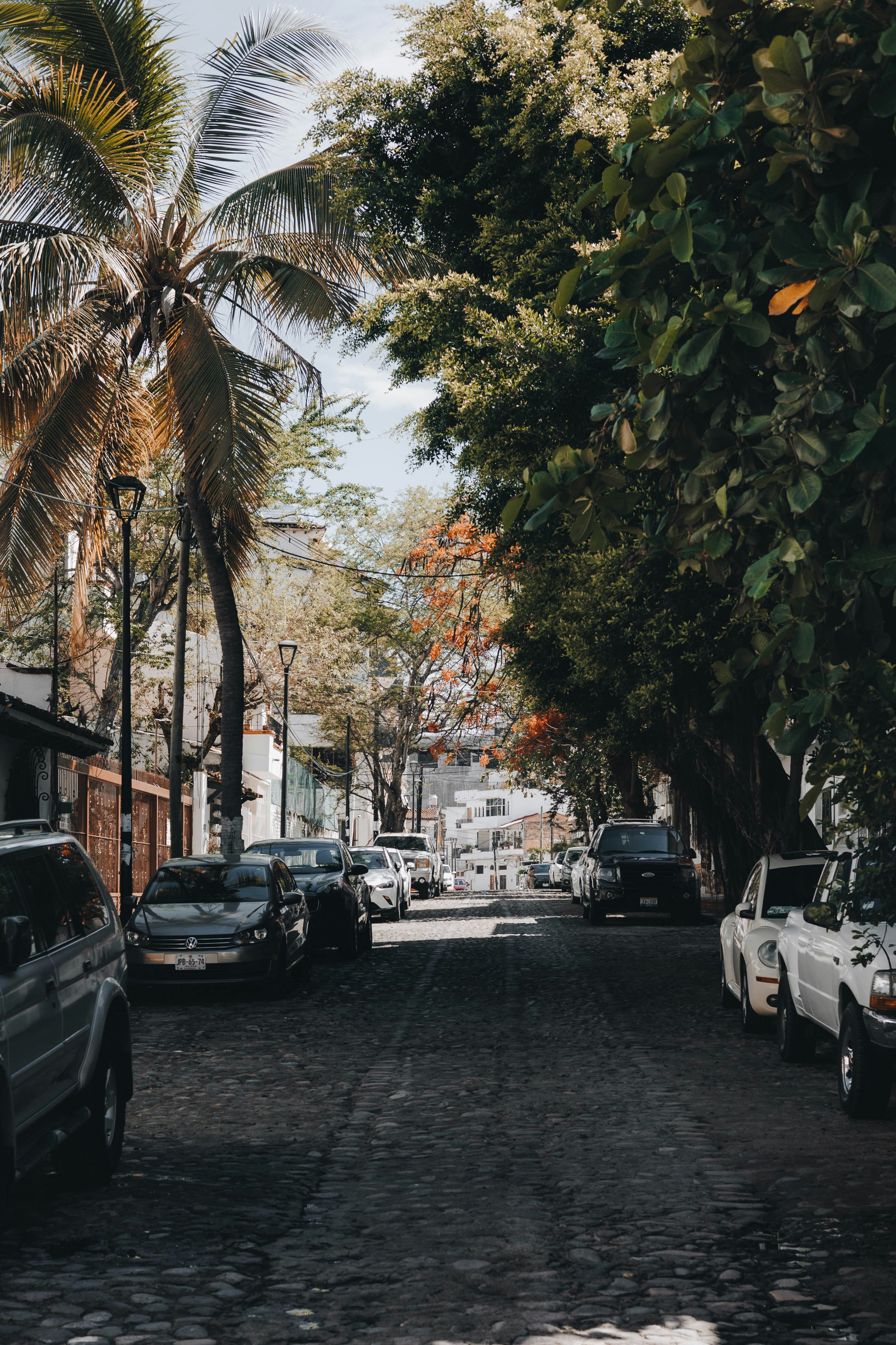 Photo by jeffersonsees