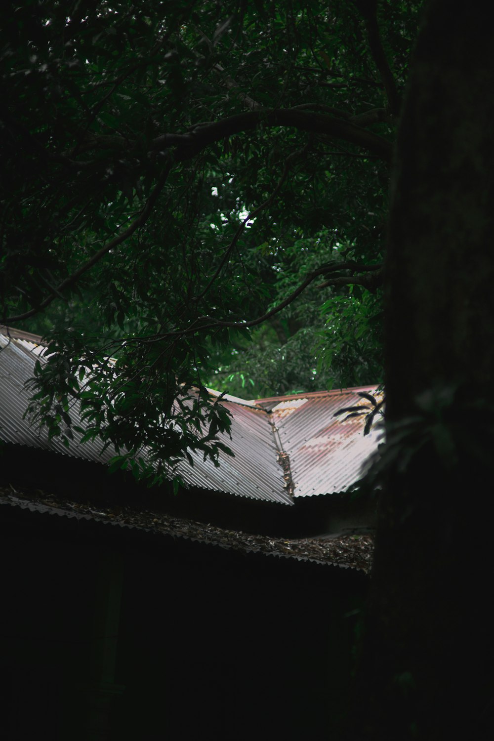 the roof of a building with a tree in the background