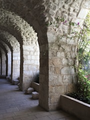a stone building with a bunch of plants growing out of it