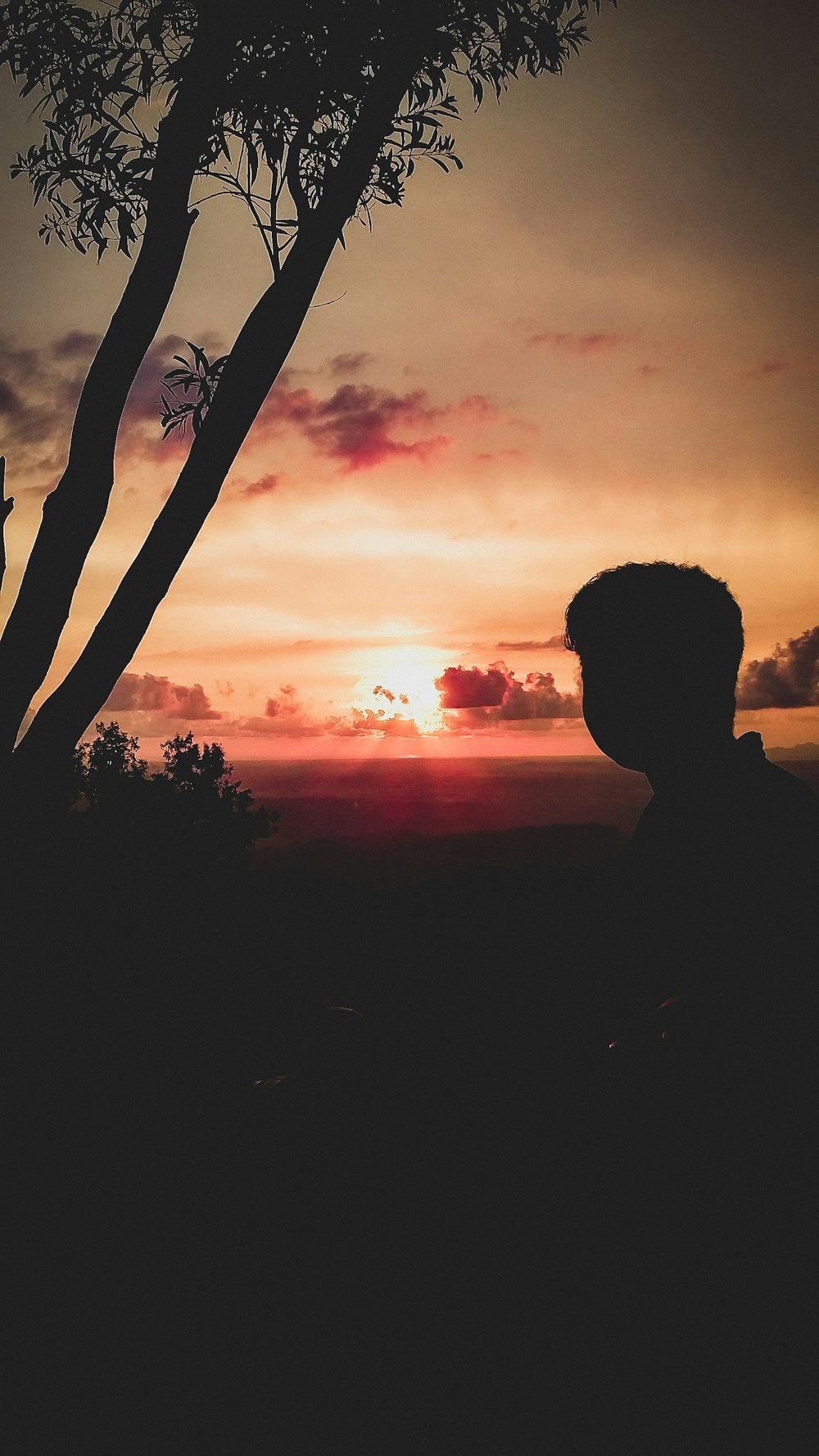 a man standing next to a tree at sunset