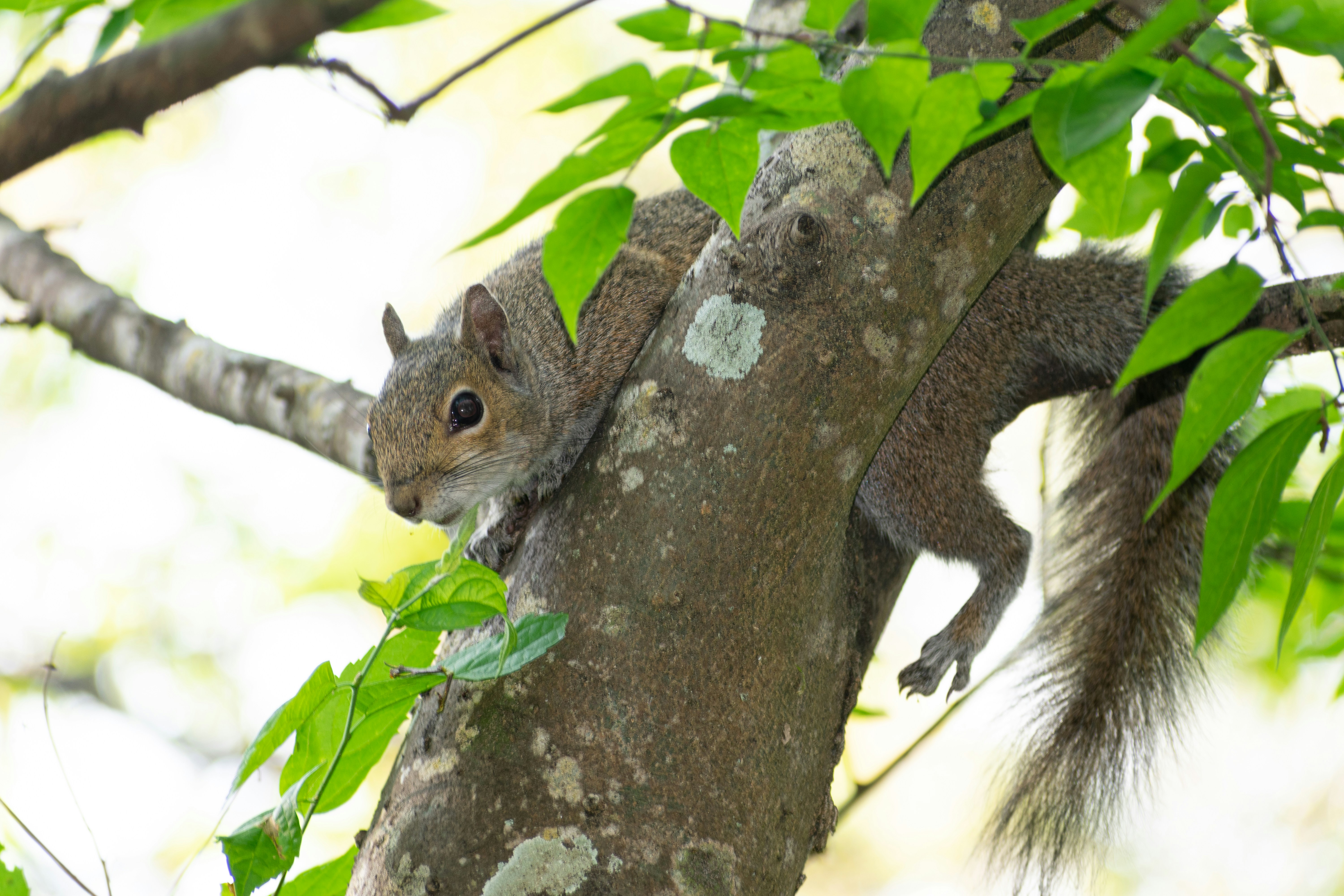 Photo by probablyrobin