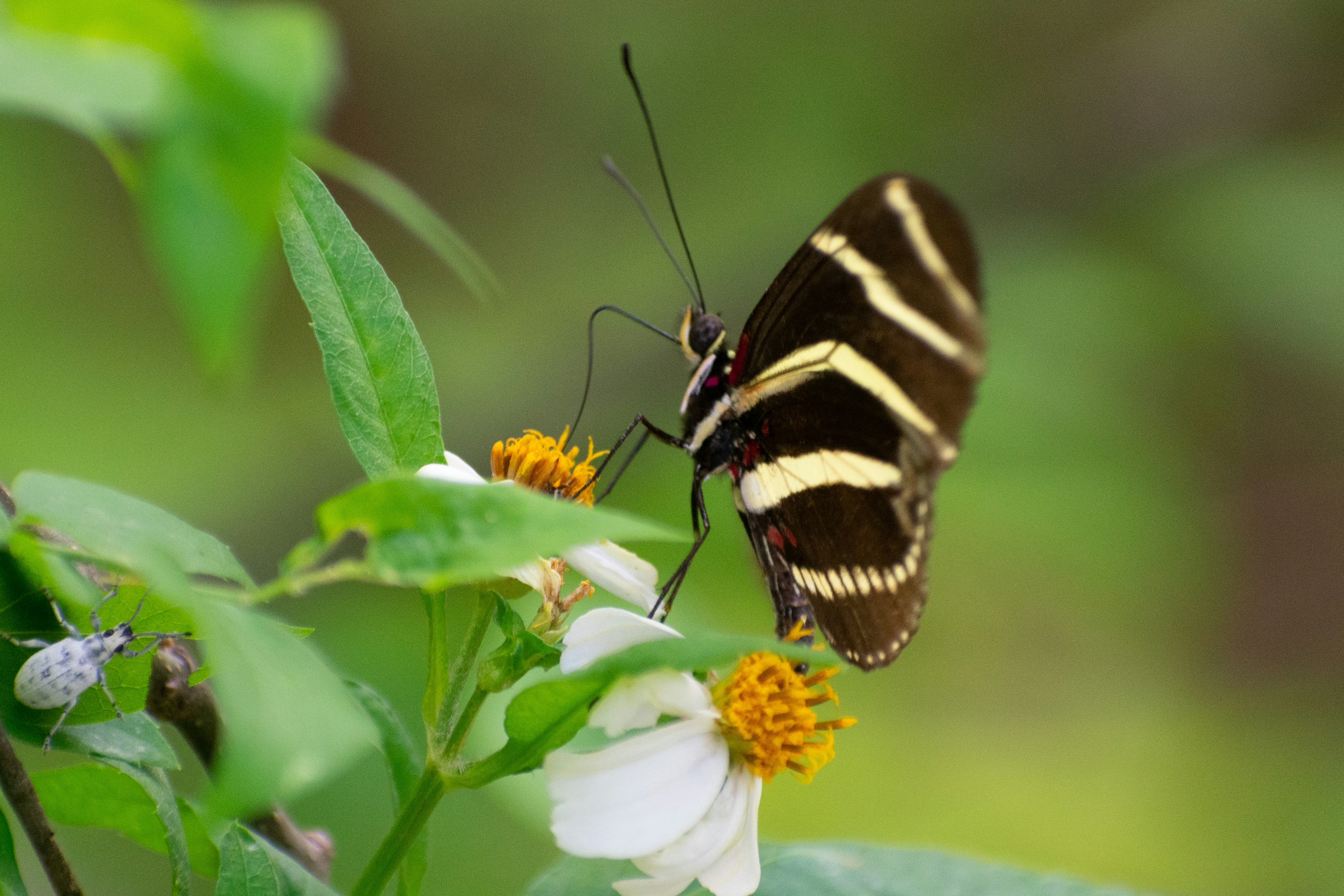 Photo by probablyrobin