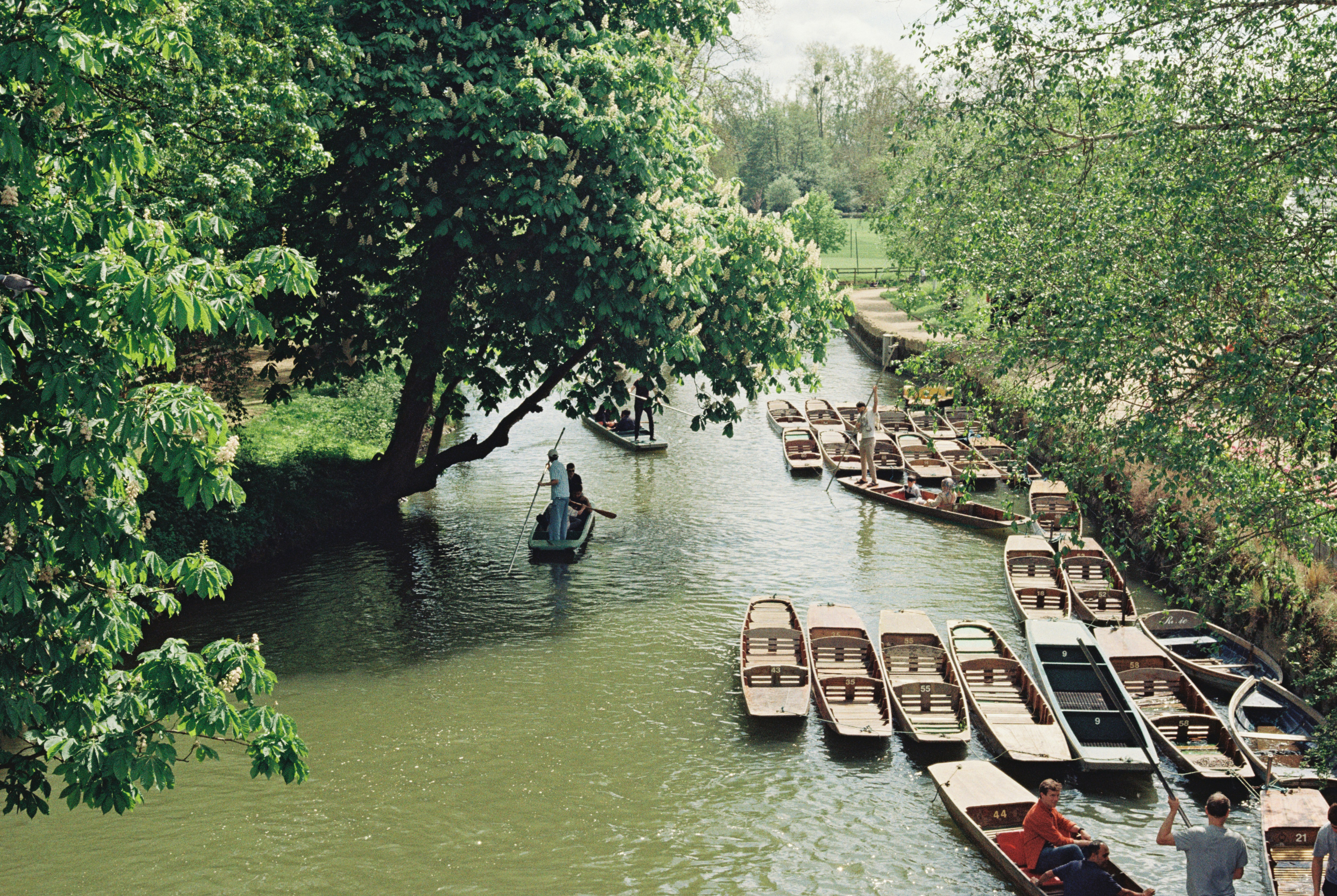 Punt on the River Cherwell photo 2
