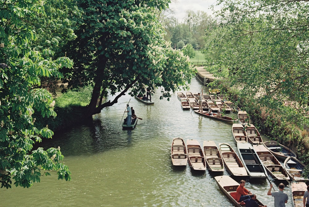 a river filled with lots of boats next to a forest