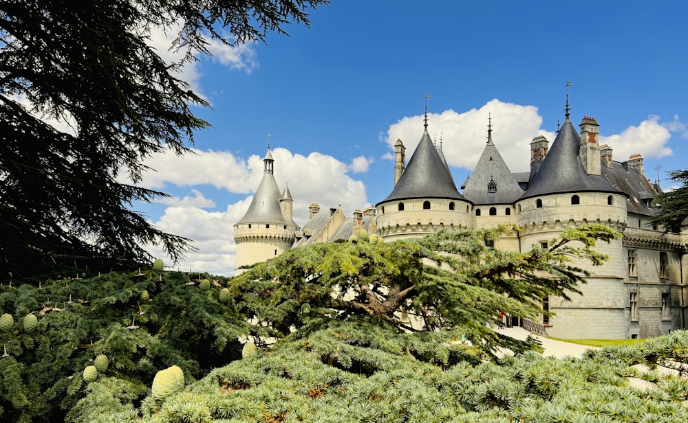 um castelo com muitas árvores e arbustos à sua frente