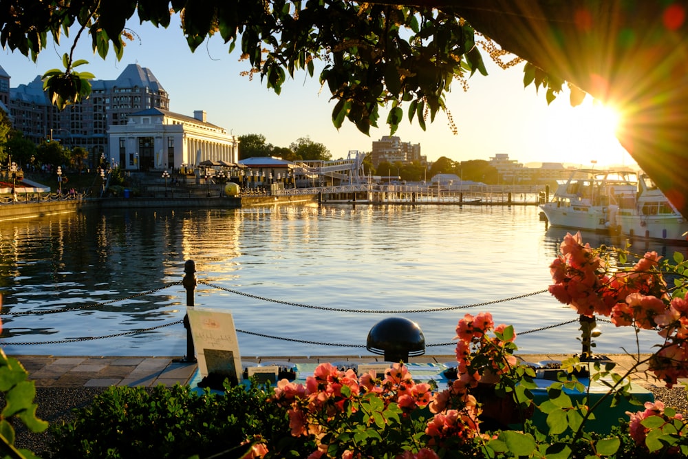 the sun is setting over the water and boats are docked