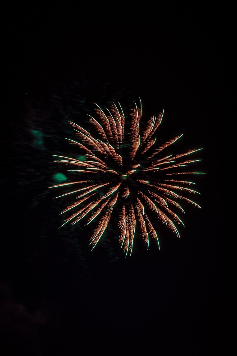 Un grande fuochi d'artificio è acceso nel cielo scuro