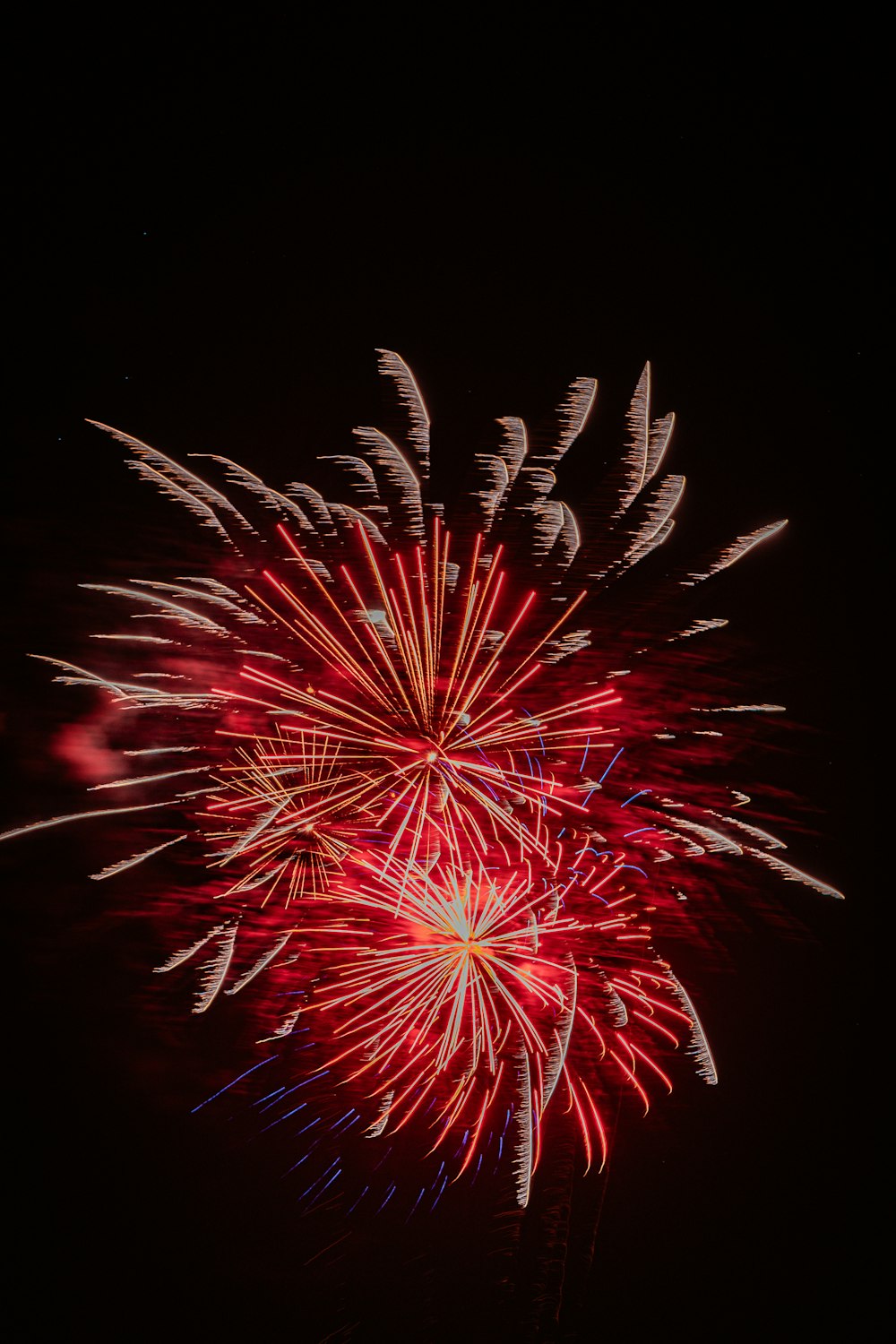 a red and white firework in the night sky