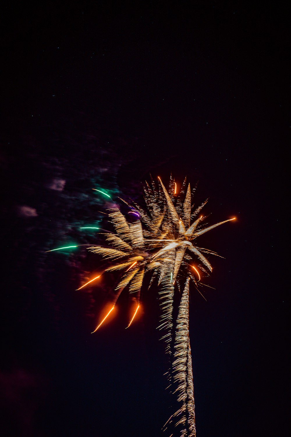 a palm tree is lit up with colorful fireworks