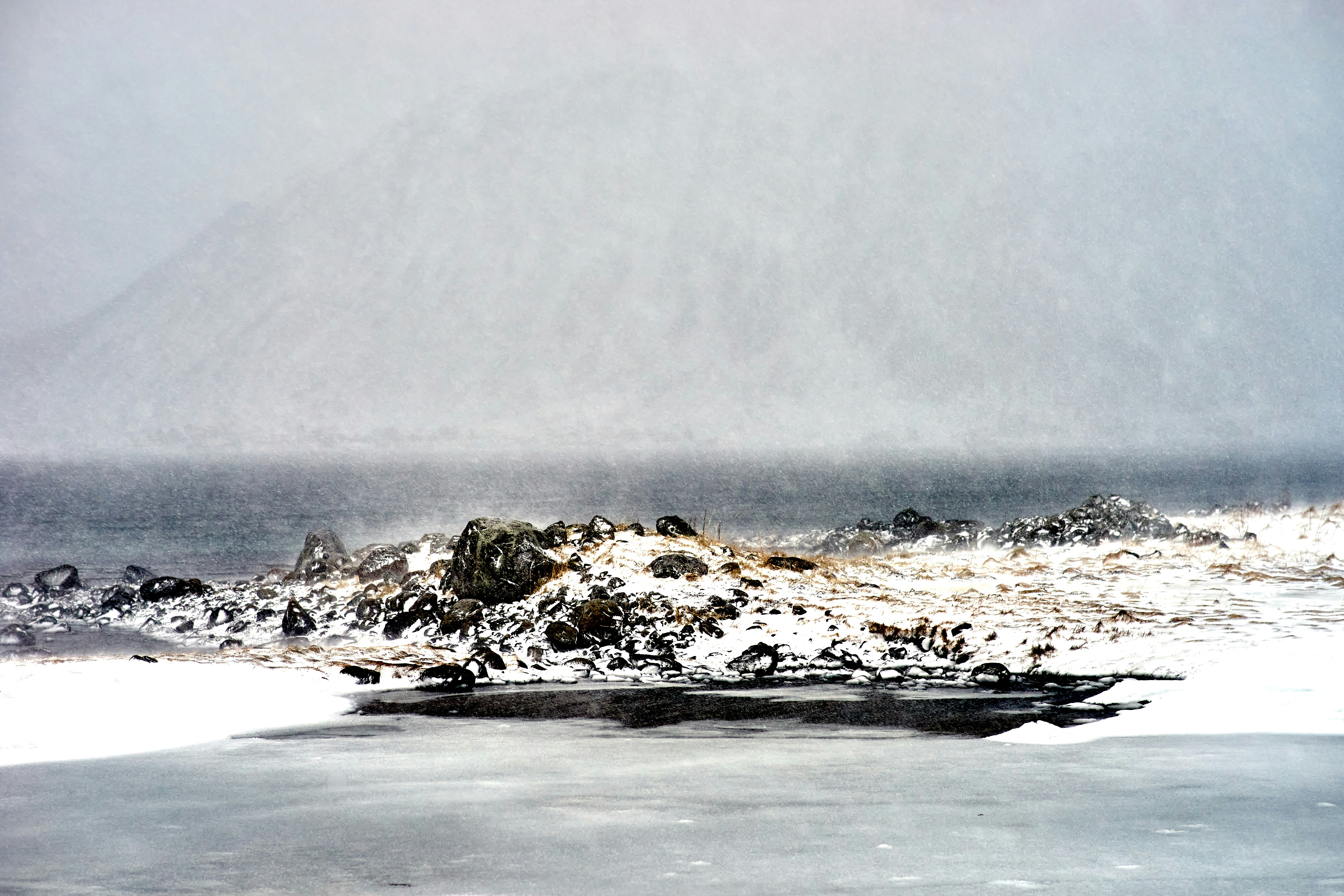 Photo by wolfgang_hasselmann