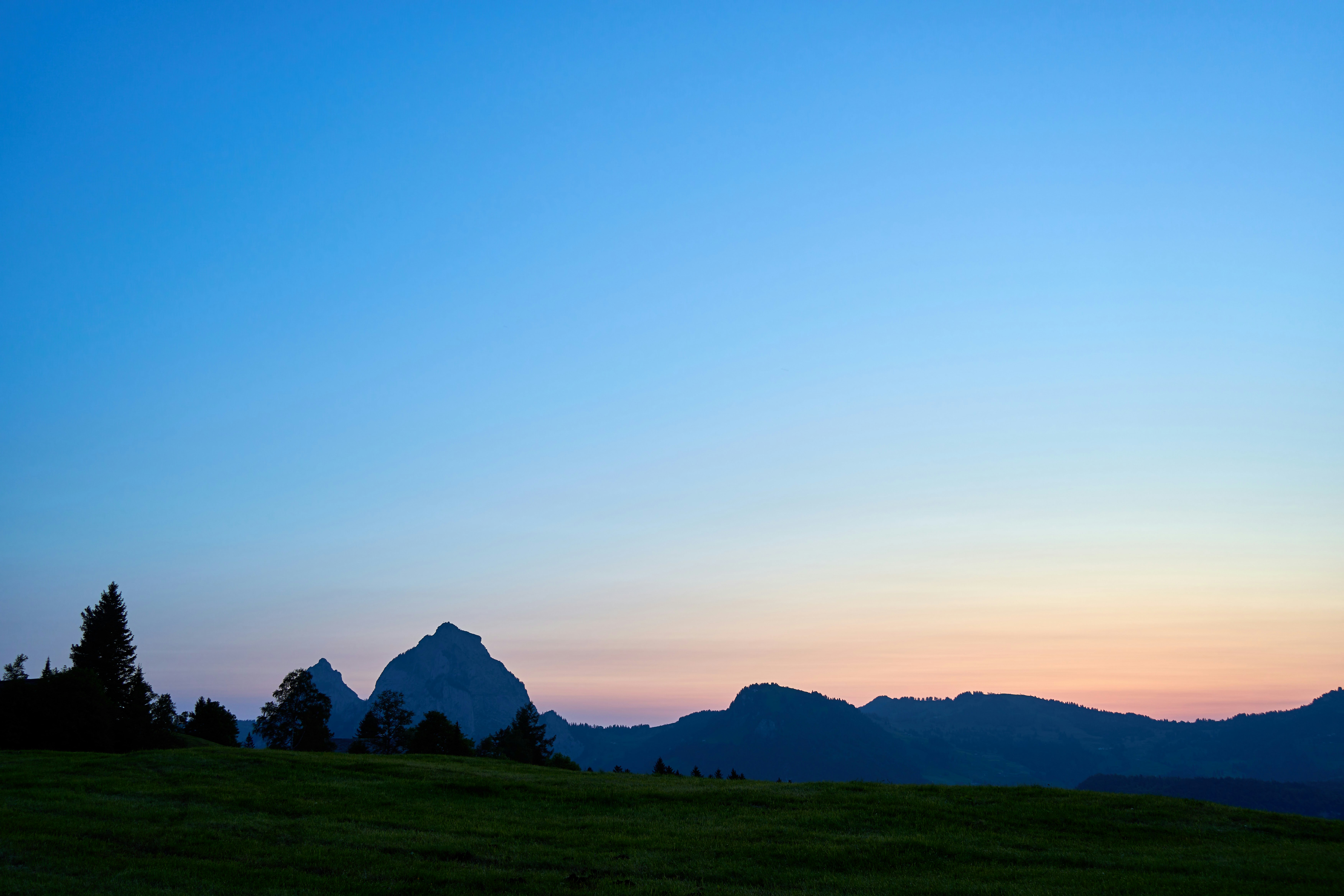 Photo by wolfgang_hasselmann