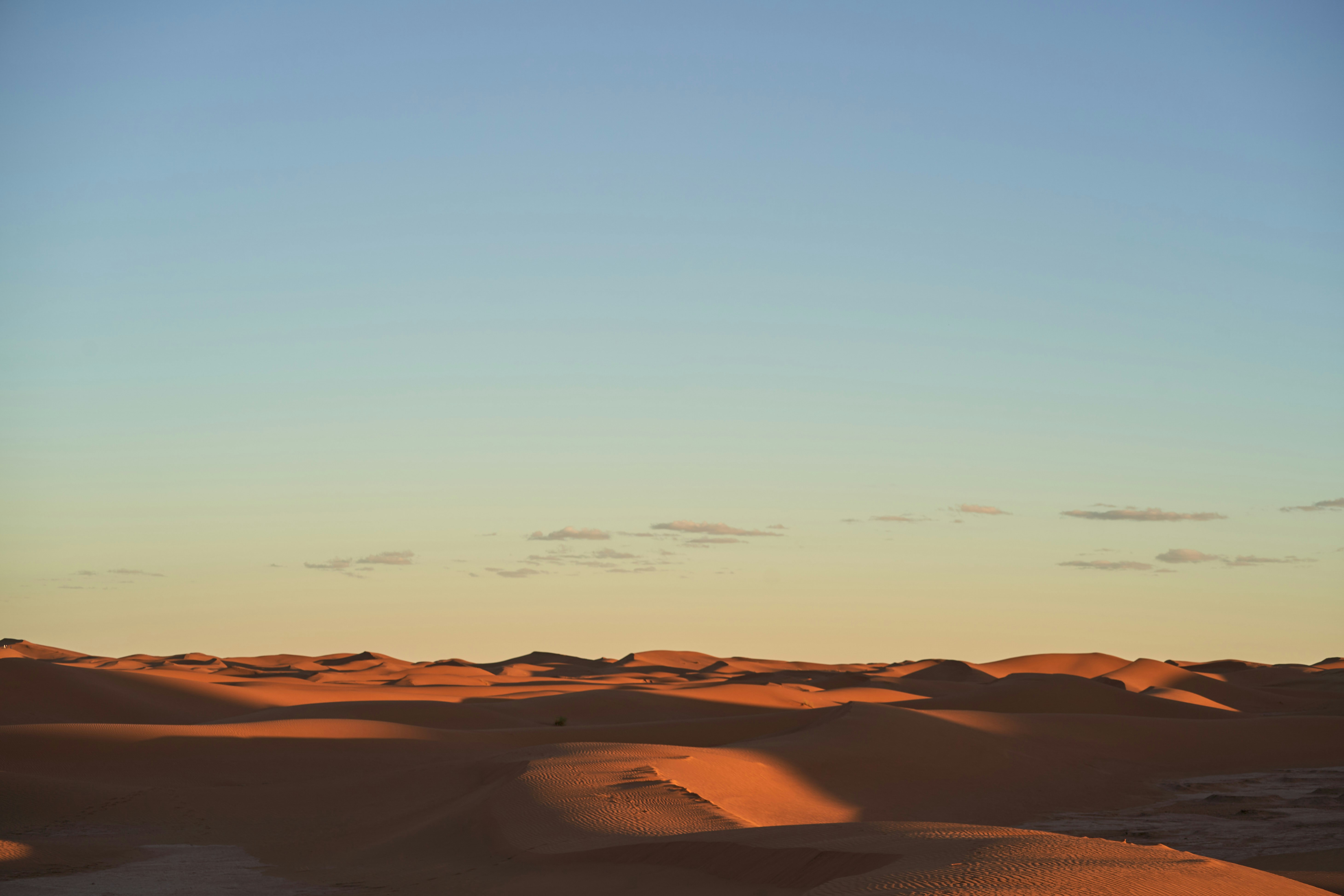 Photo by wolfgang_hasselmann