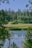 A serene nature landscape depicting a tranquil lake surrounded by trees.