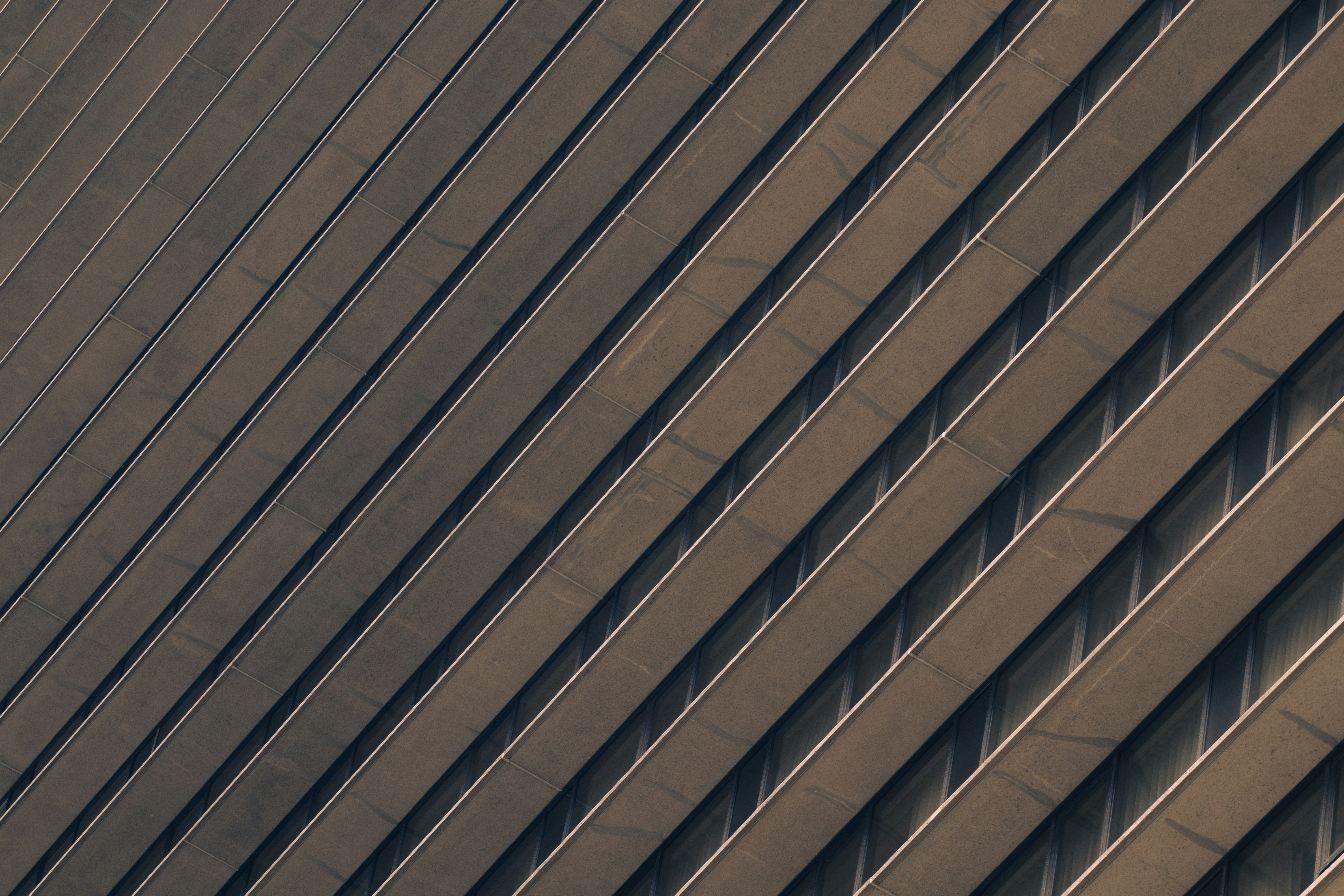 Photo by orian_lev_ari1