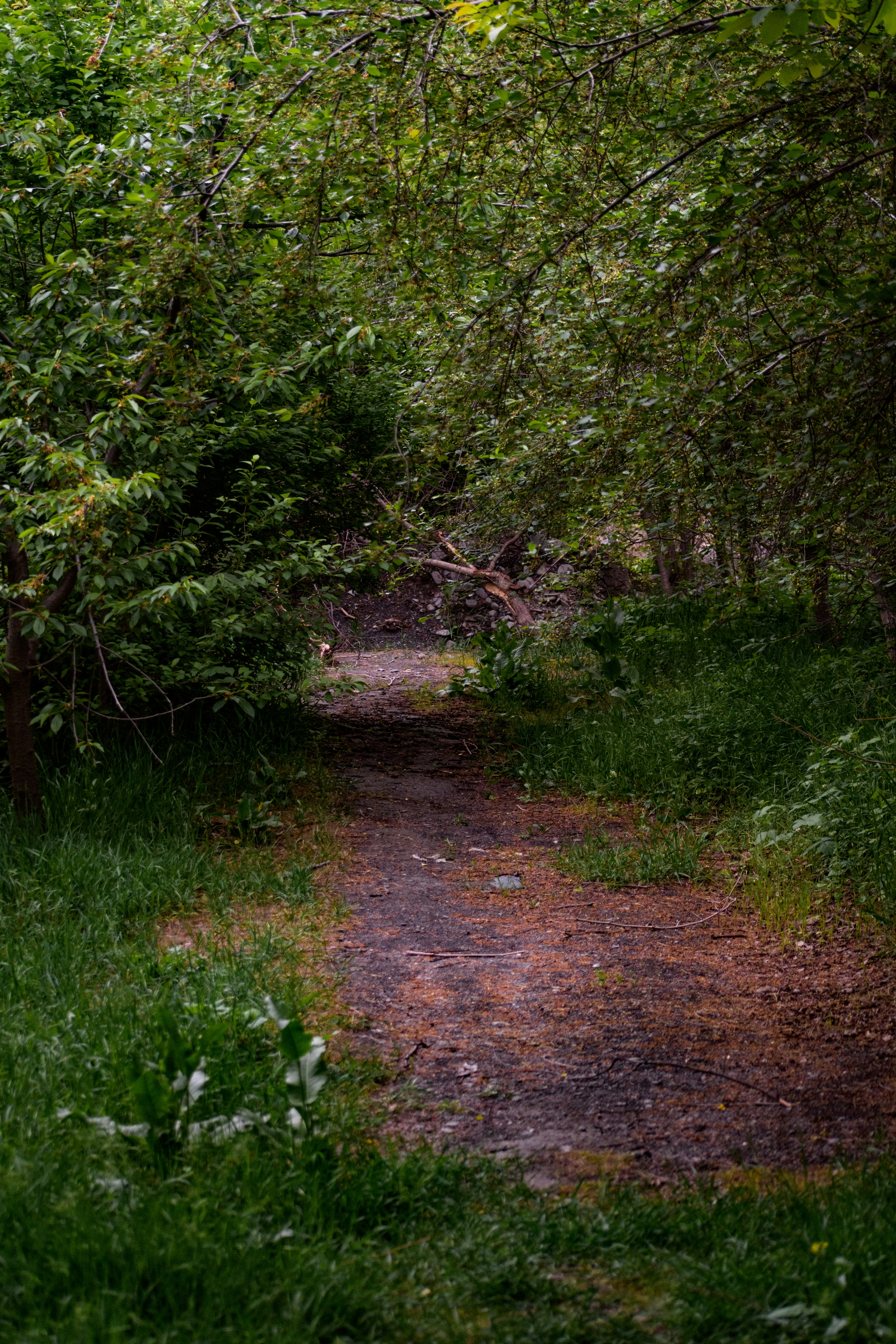 Photo by s_ahmadreza_p