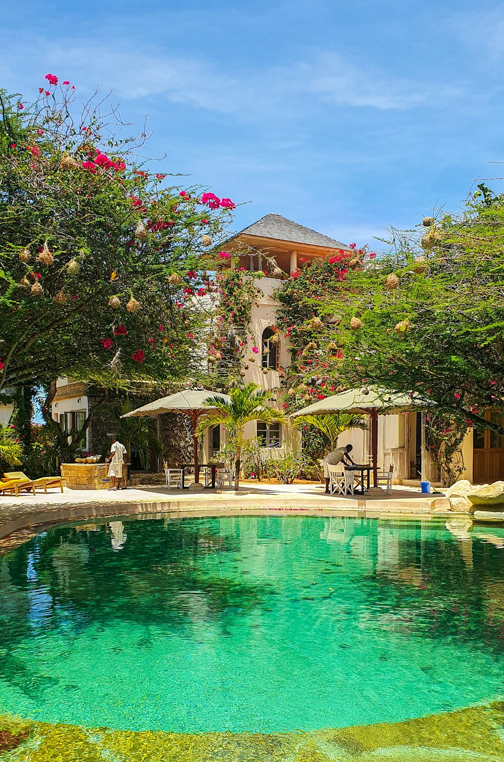 a pool surrounded by lush green trees next to a building