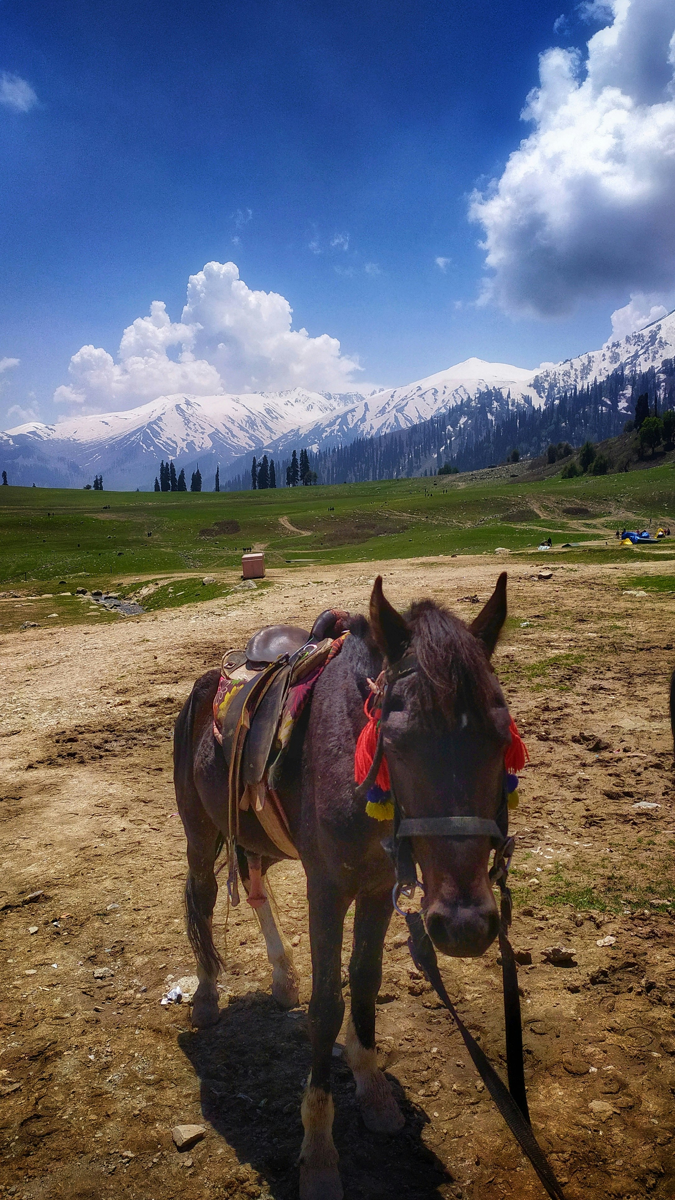 Photo by hardikhi