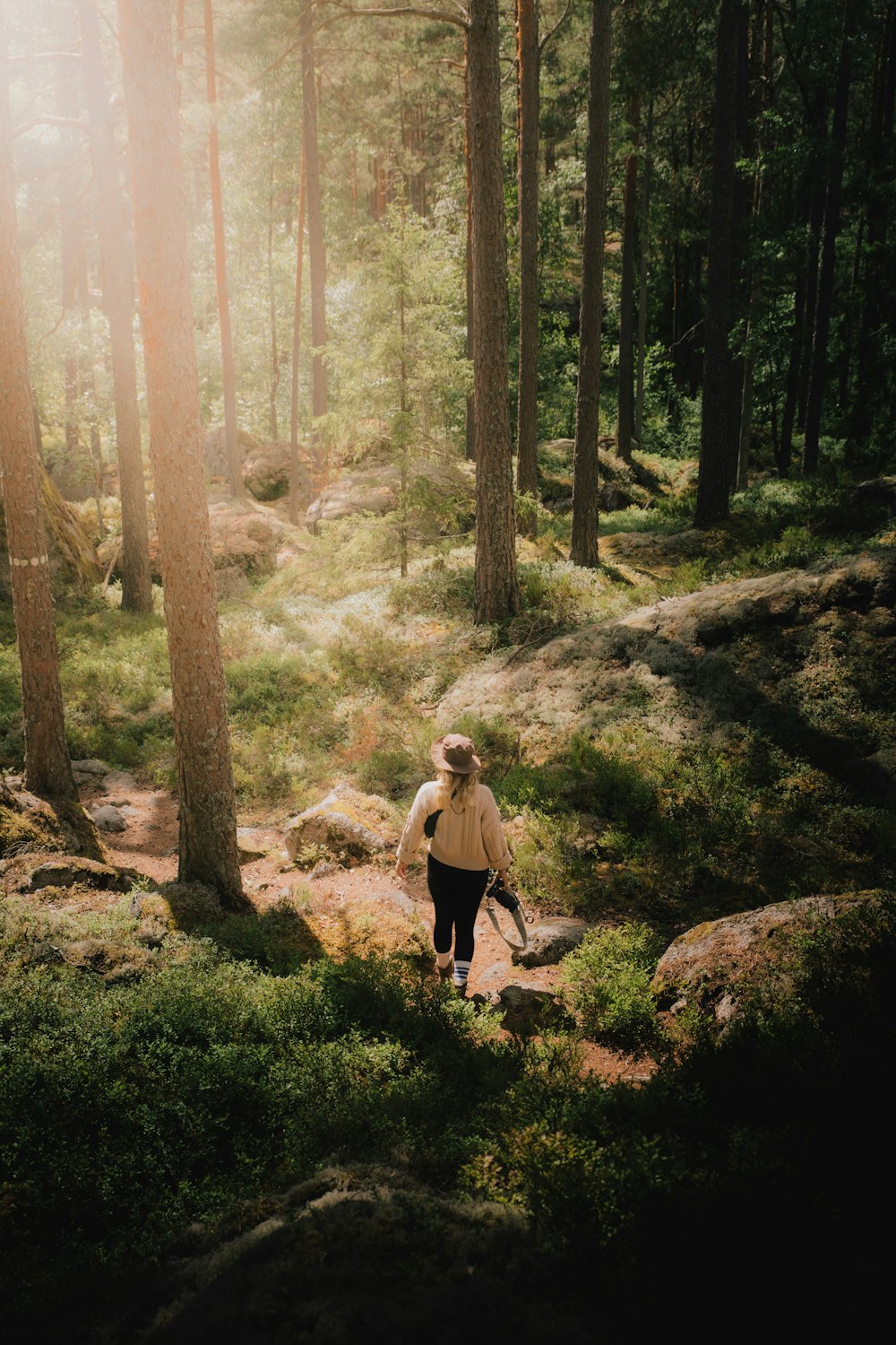 a woman walking through a forest on a sunny day