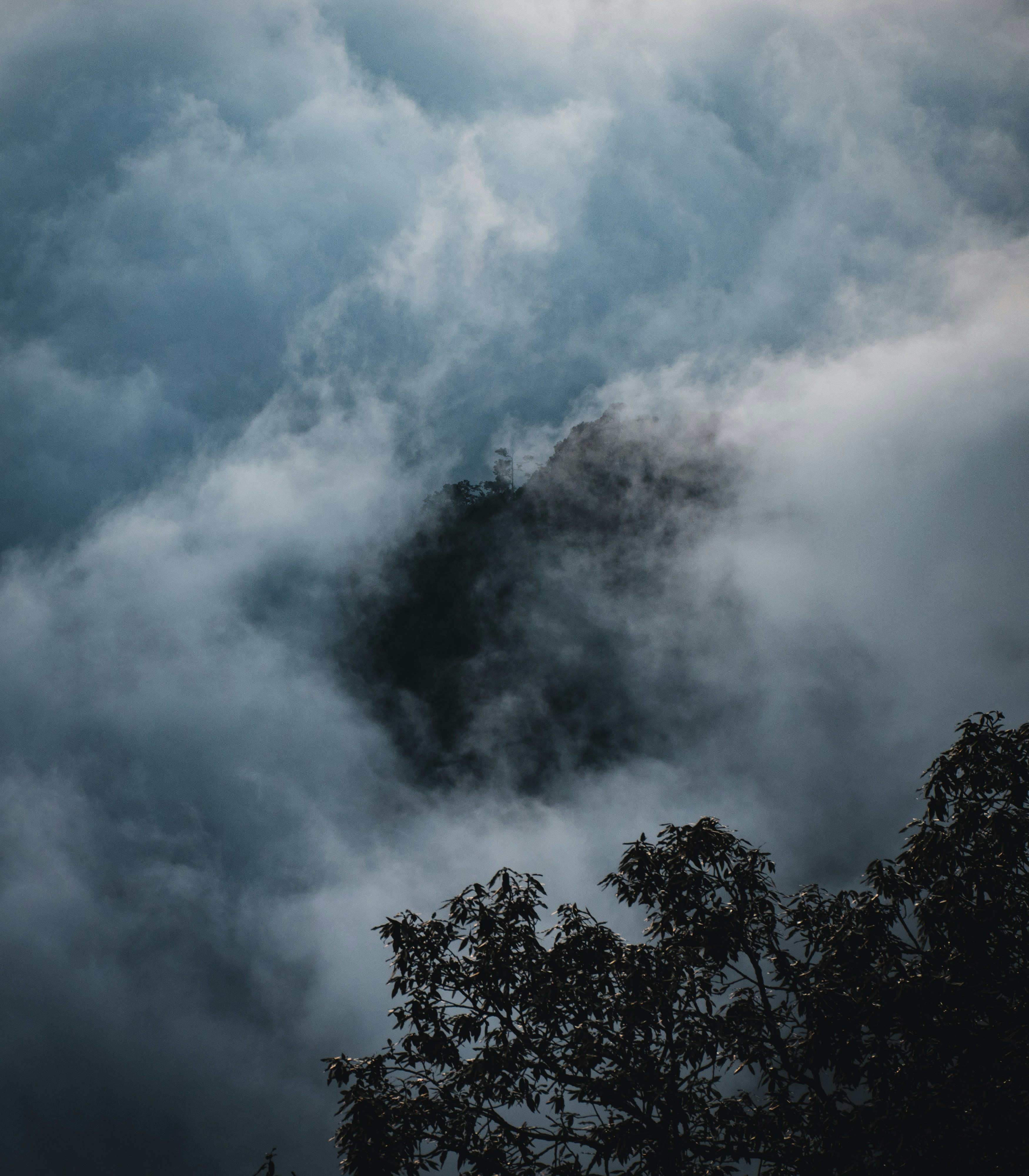 Photo by mukulgogo