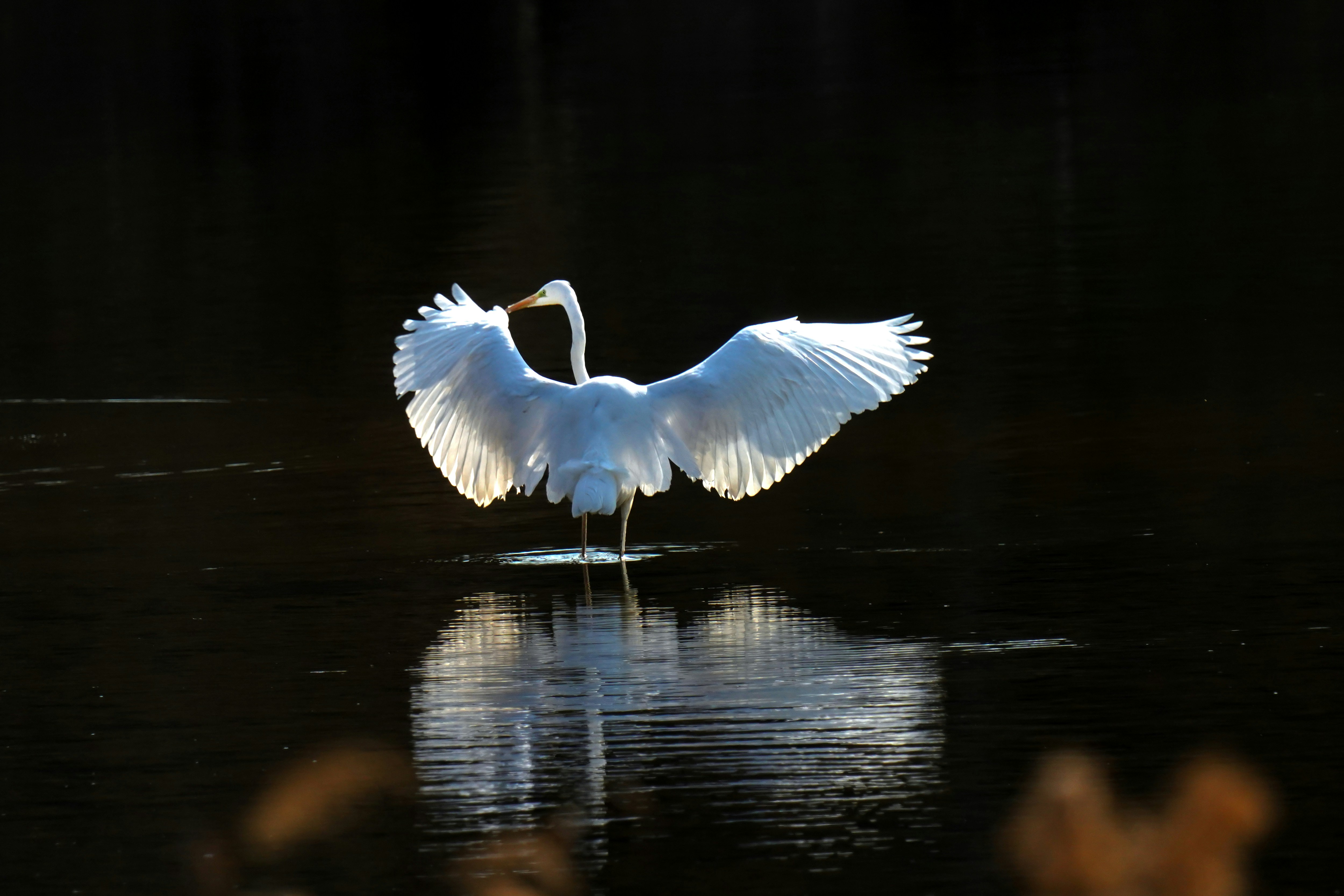 Photo by kim_dae_jeung