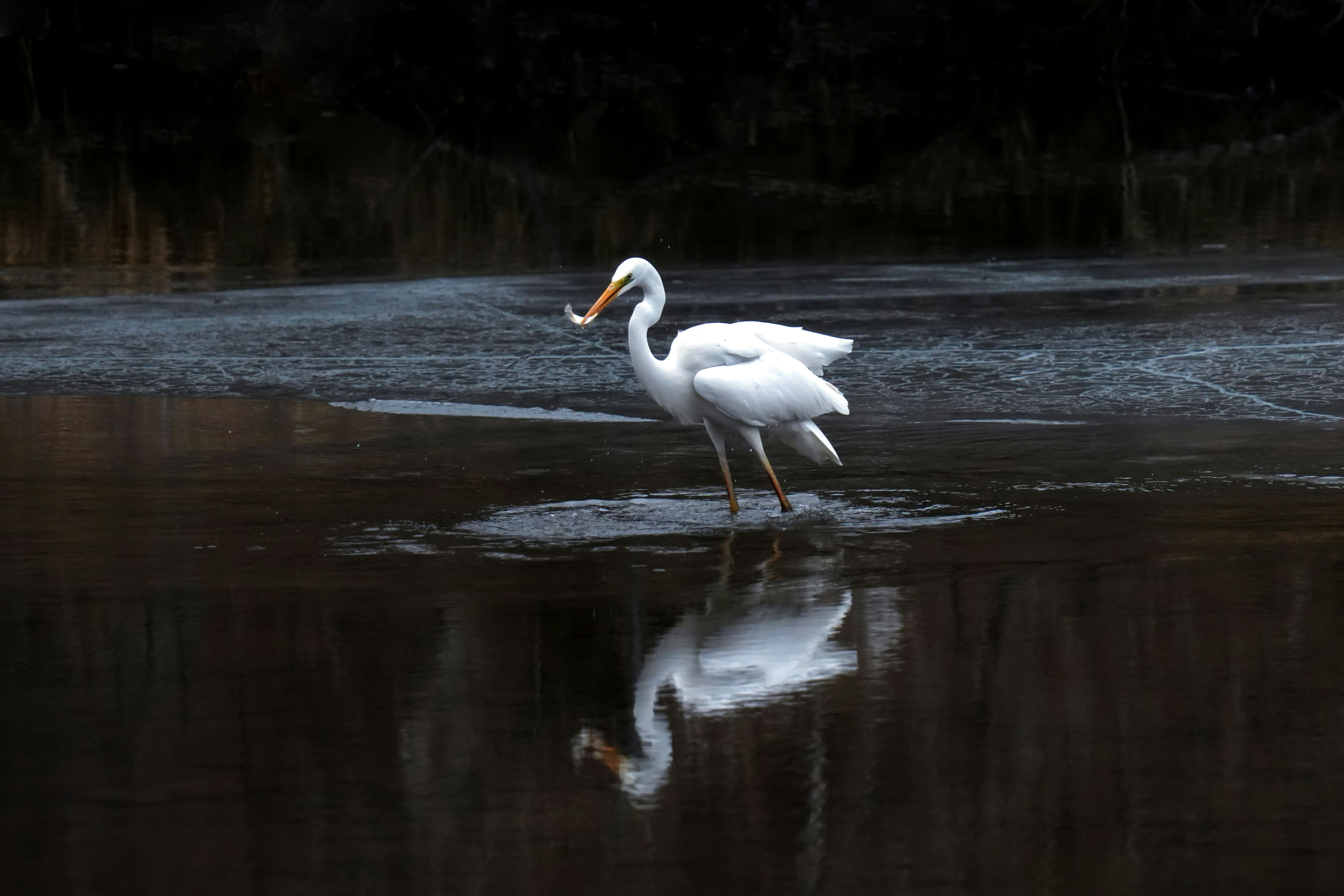 Photo by kim_dae_jeung