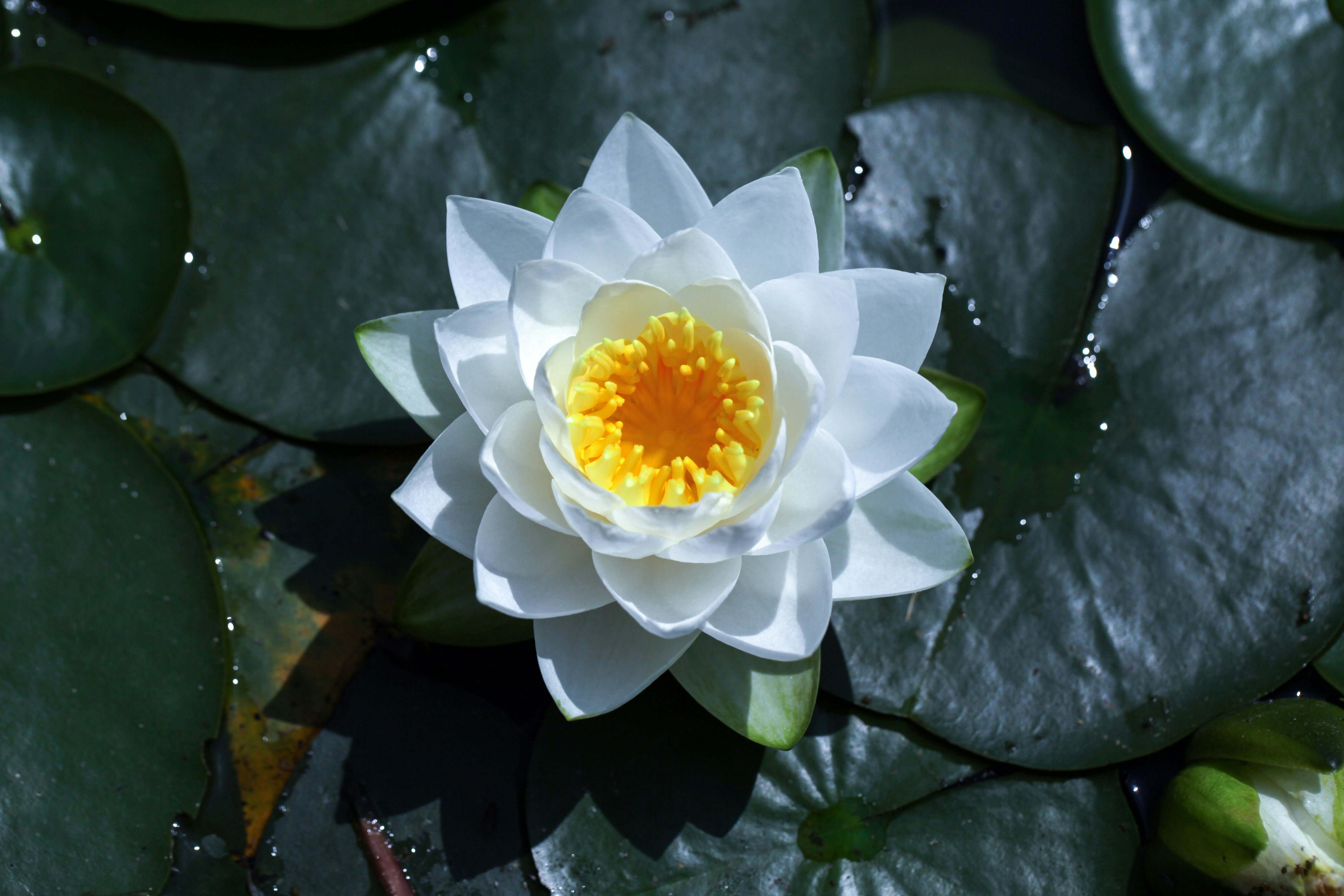 Photo by kim_dae_jeung