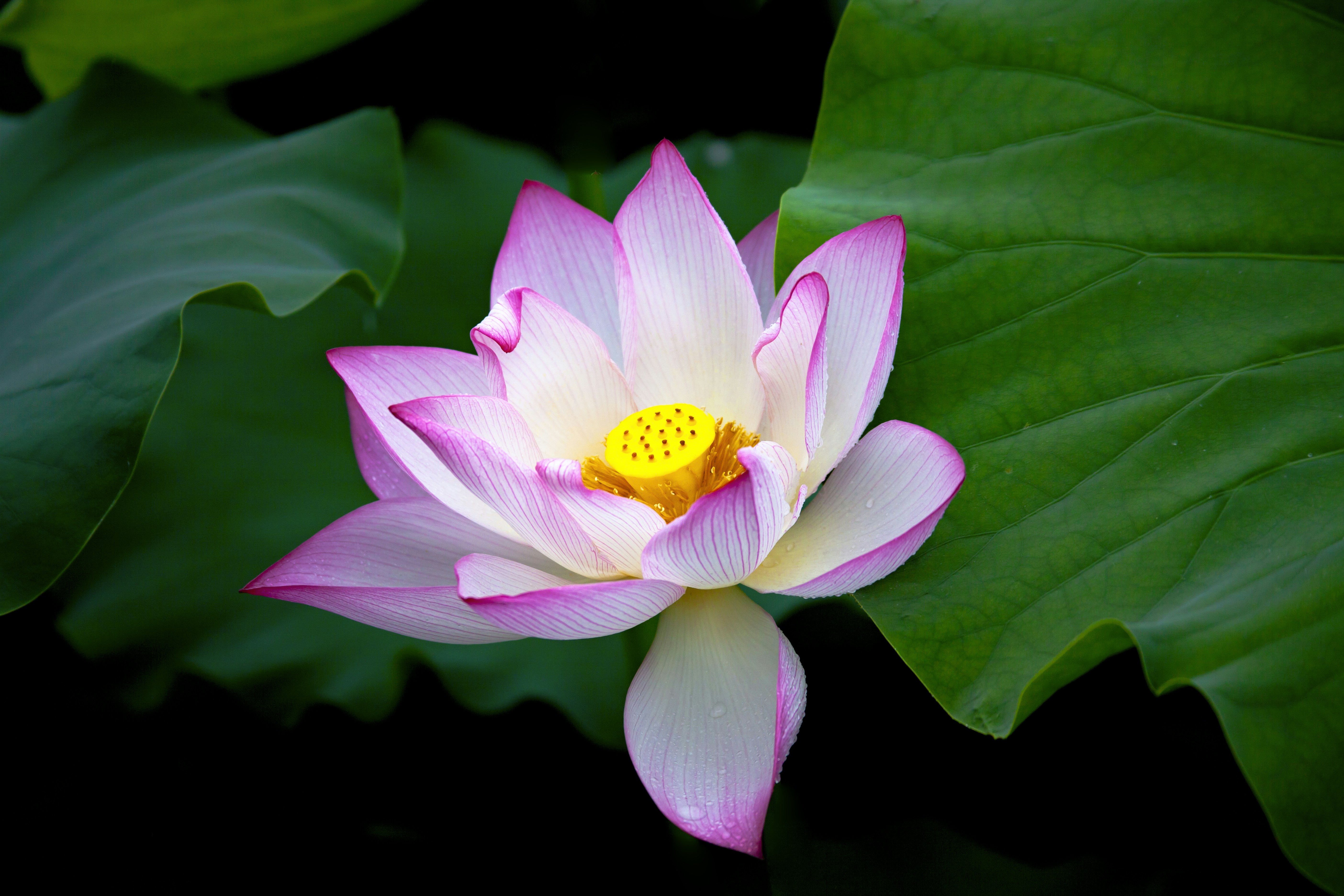 Photo by kim_dae_jeung