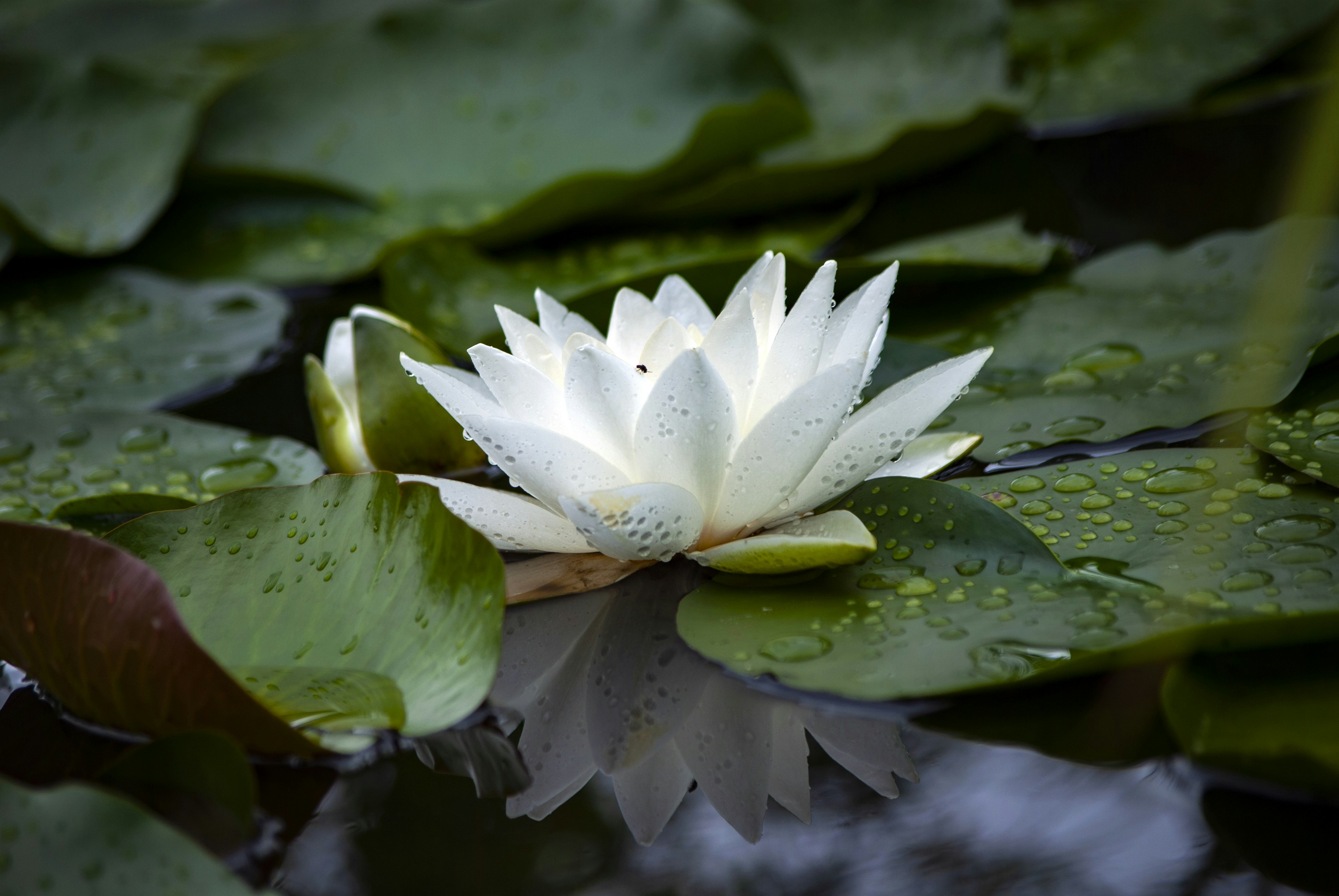 Photo by kim_dae_jeung