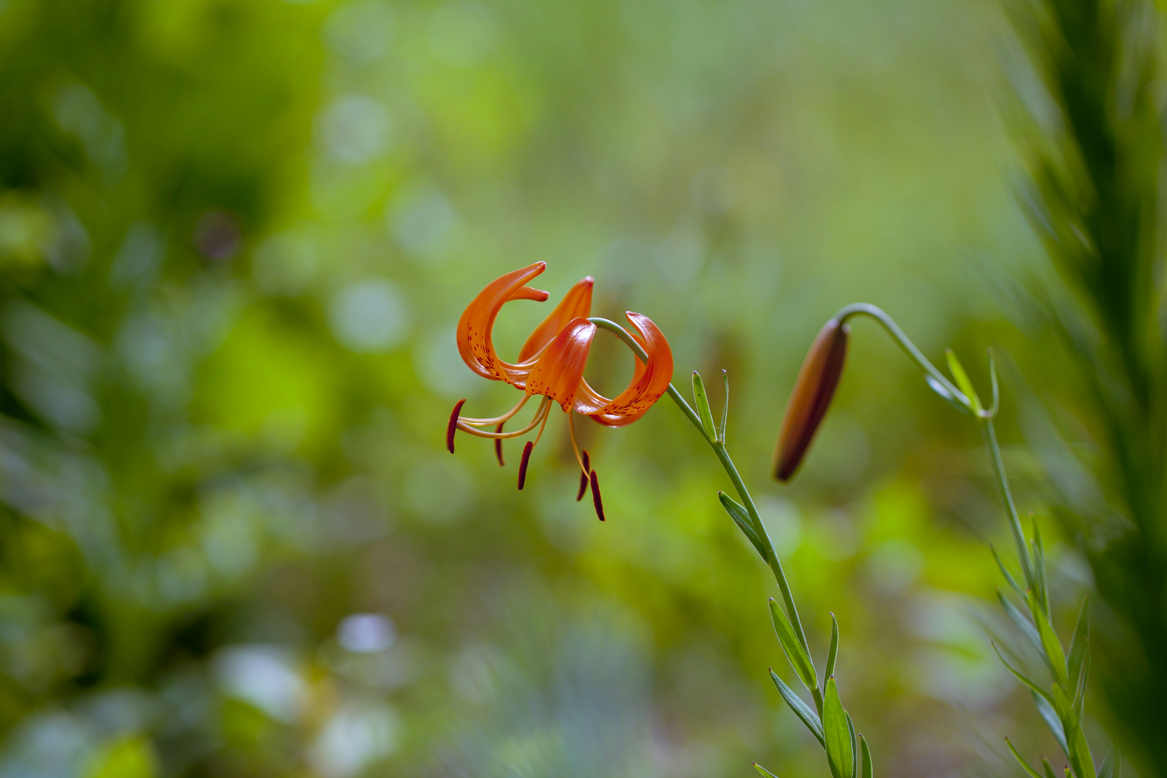 Photo by kim_dae_jeung