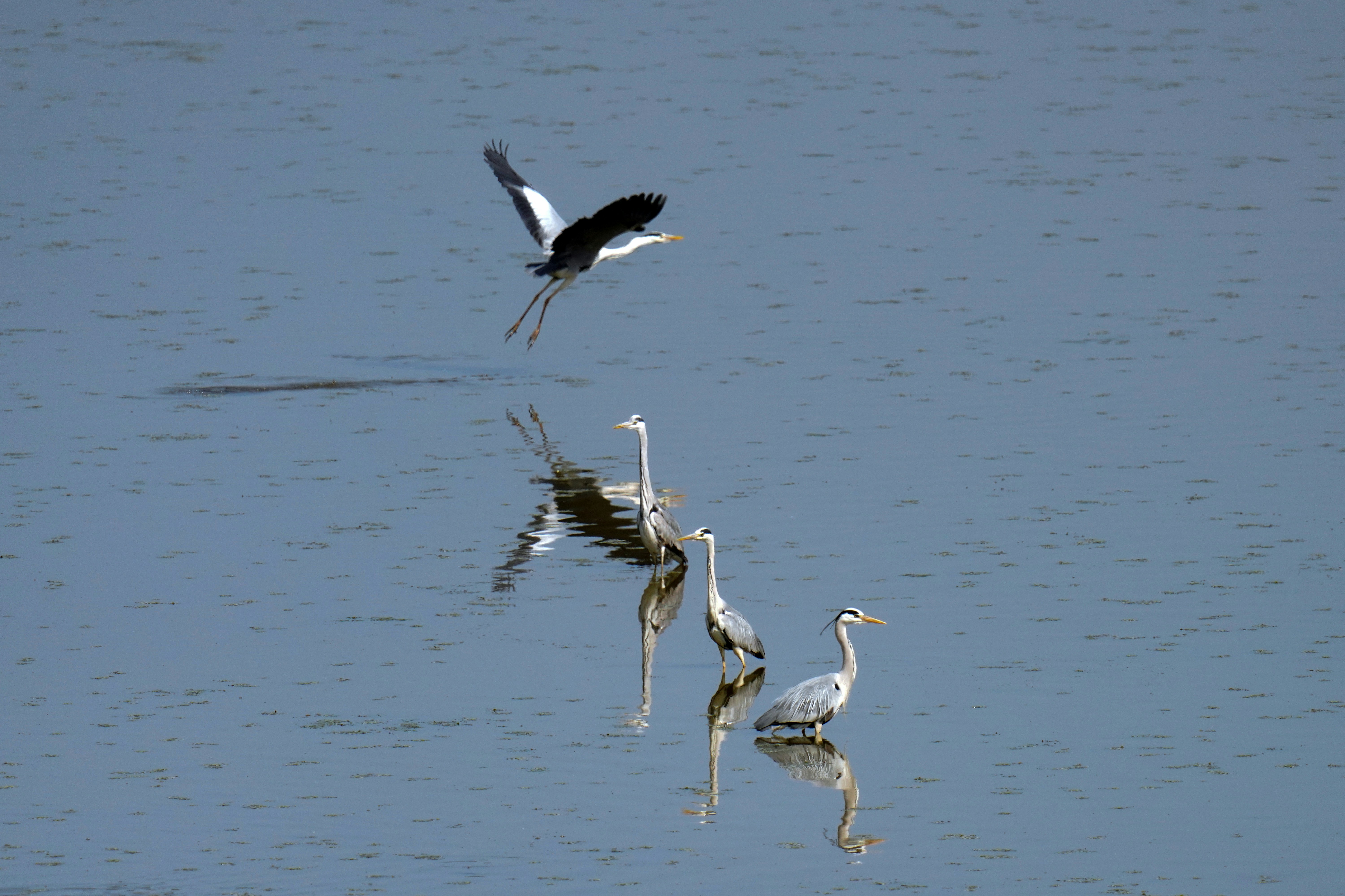 Photo by kim_dae_jeung