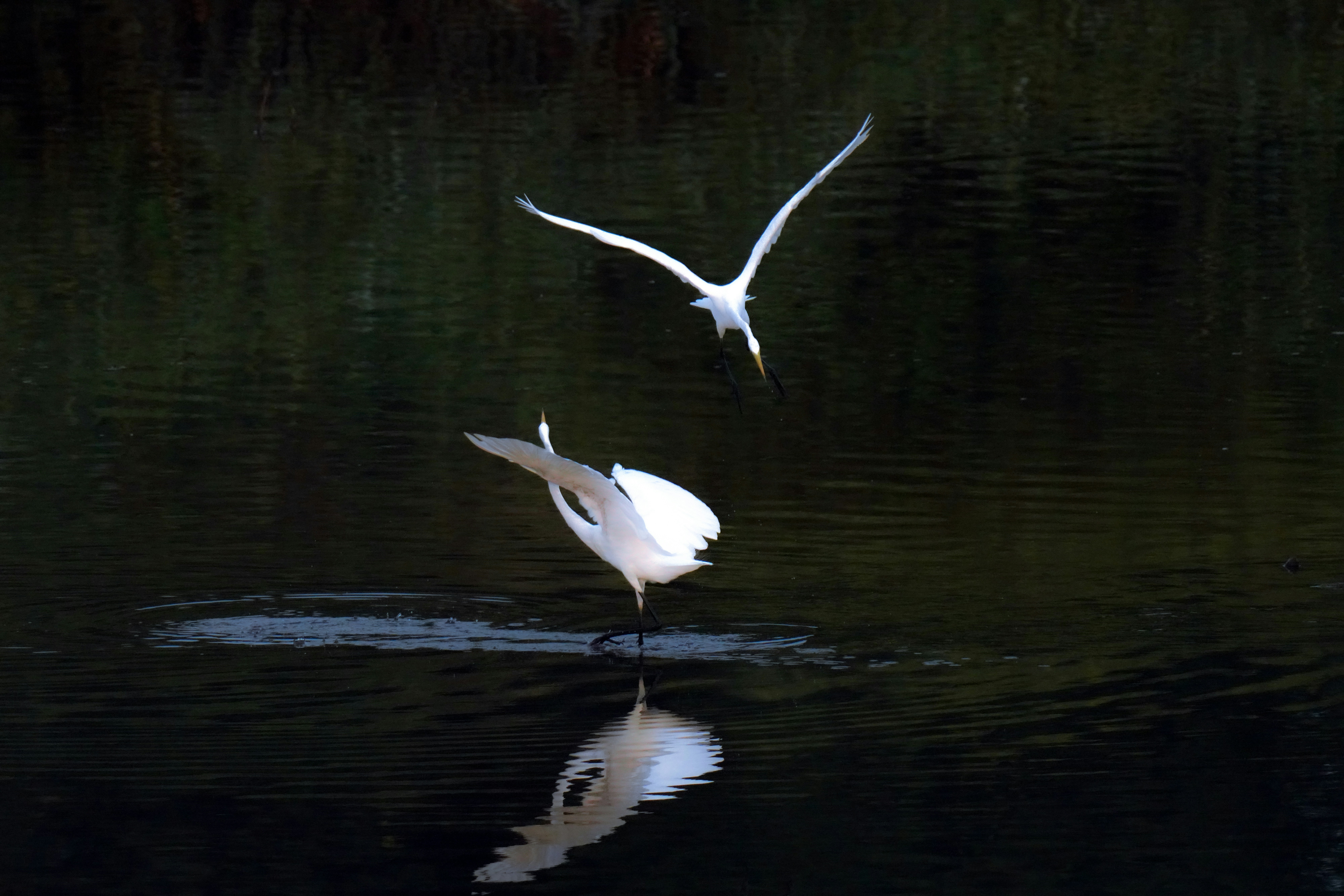 Photo by kim_dae_jeung