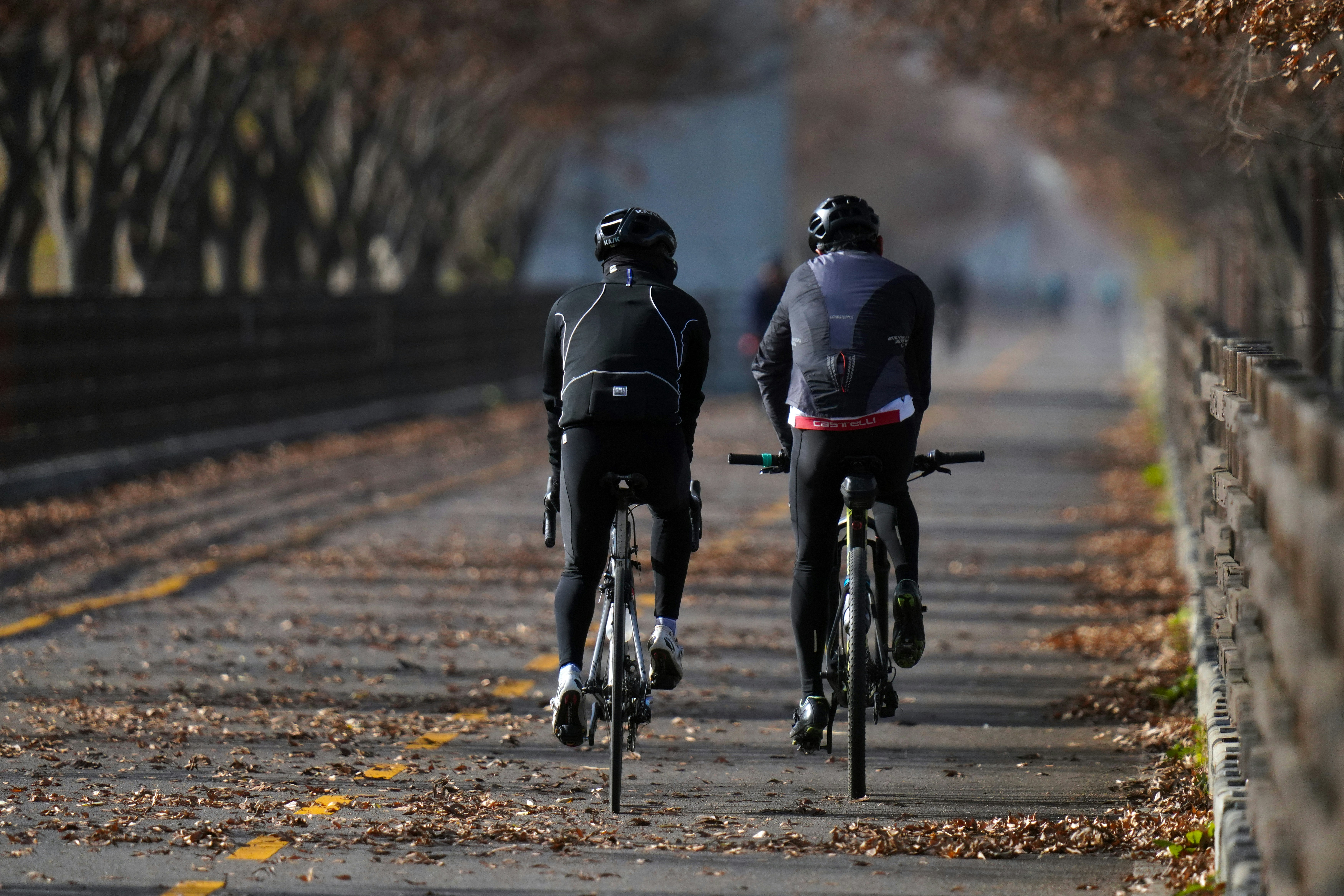 dois ciclistas andando por uma estrada no outono