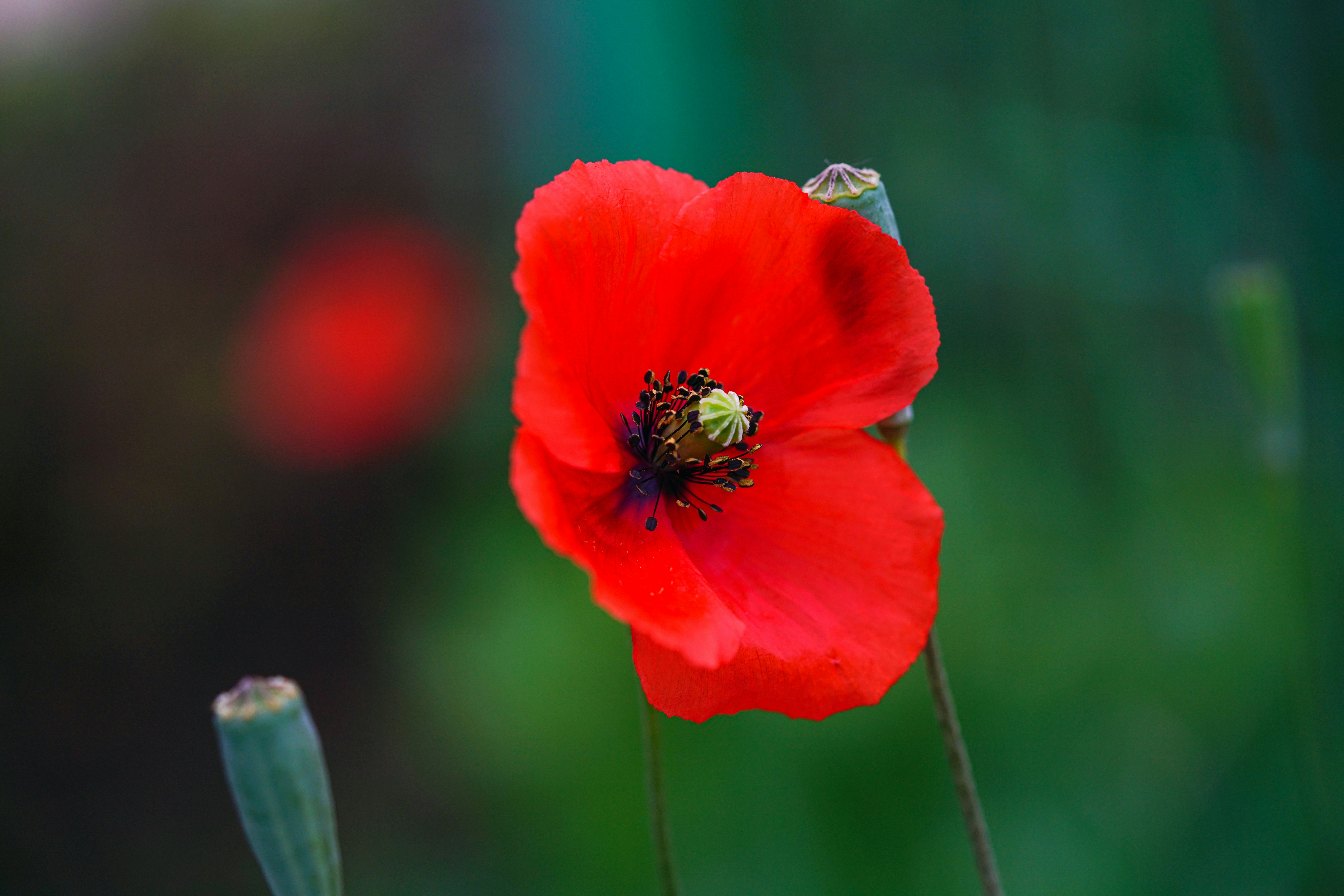 Photo by kim_dae_jeung