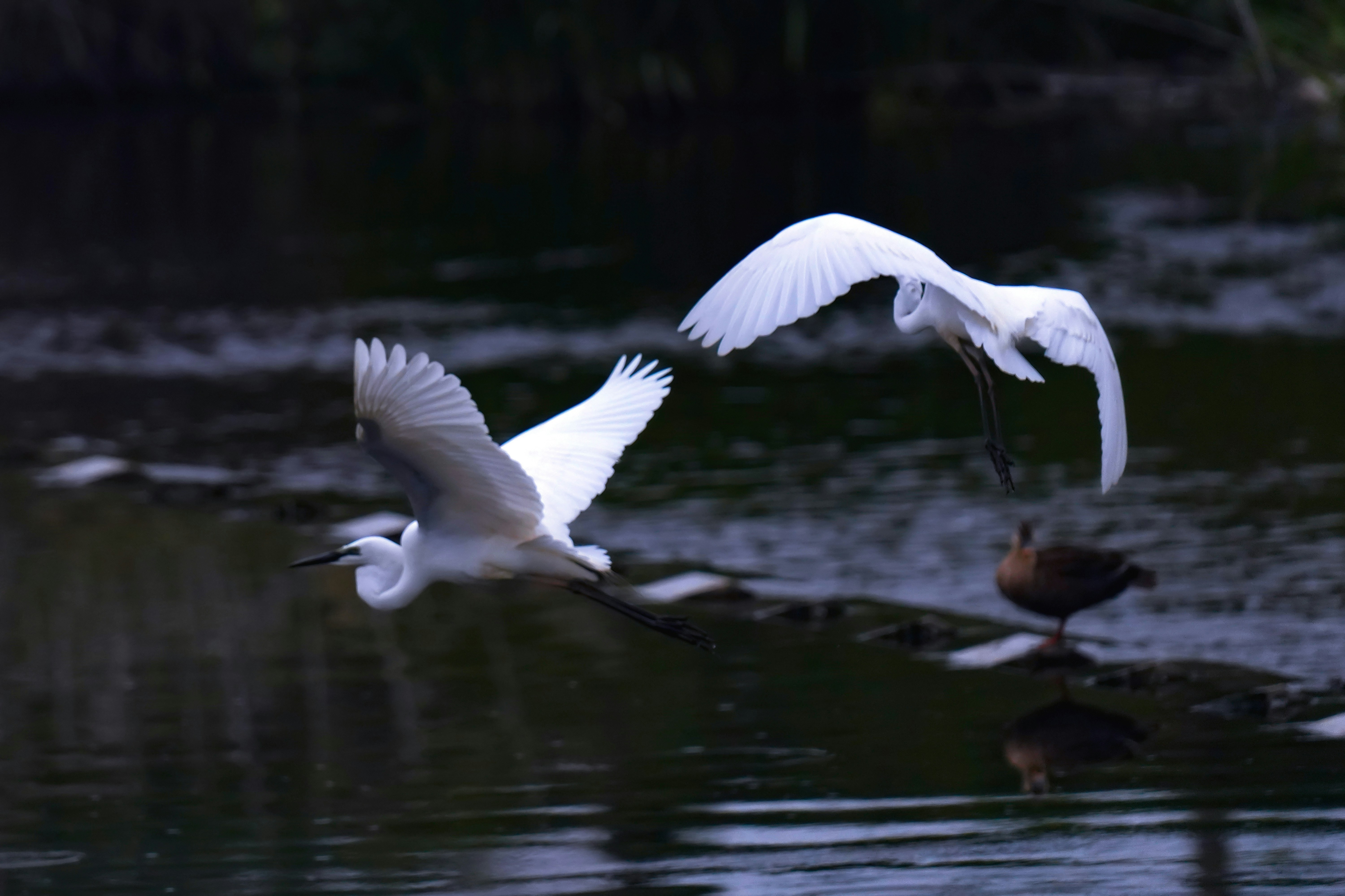 Photo by kim_dae_jeung