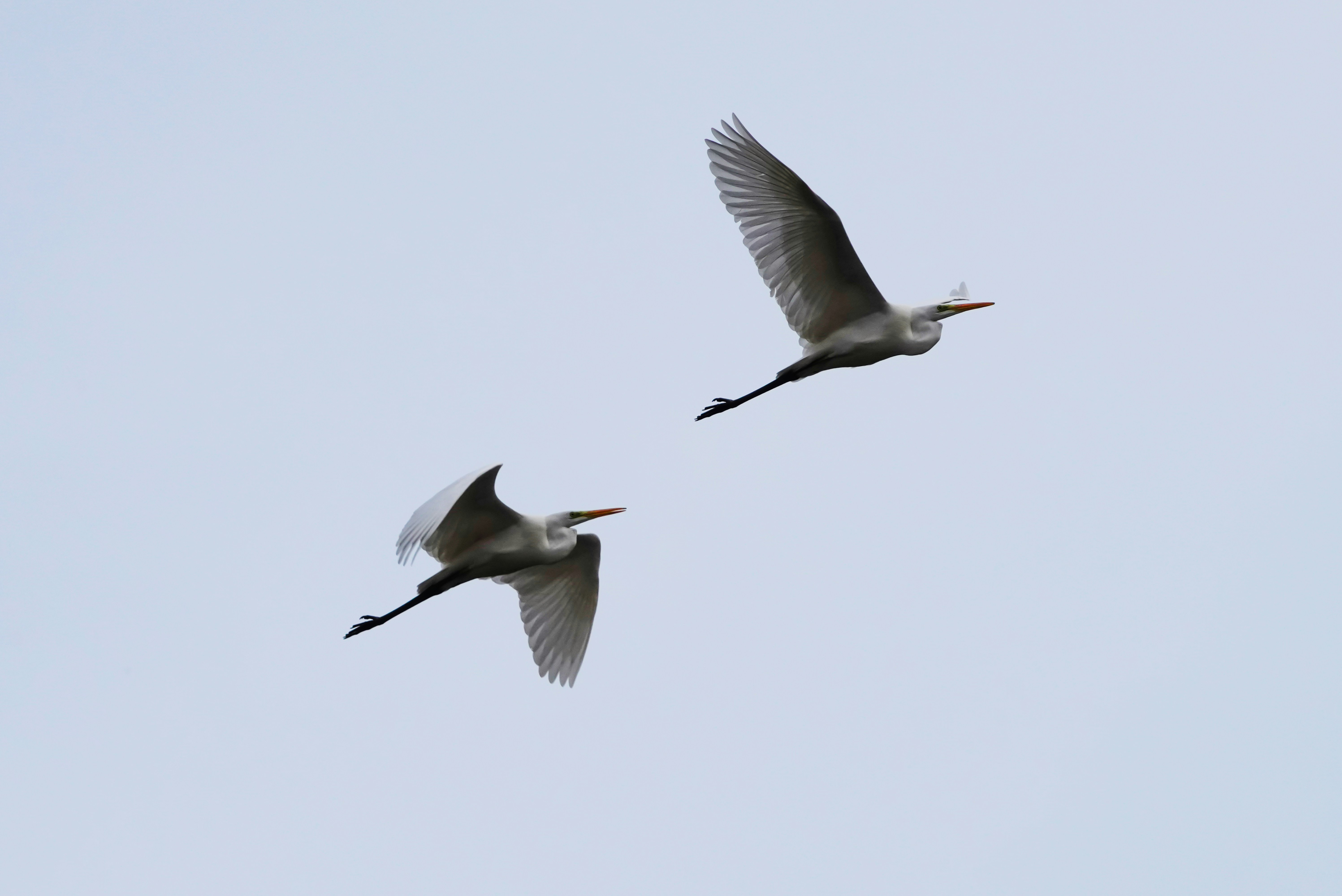 Photo by kim_dae_jeung