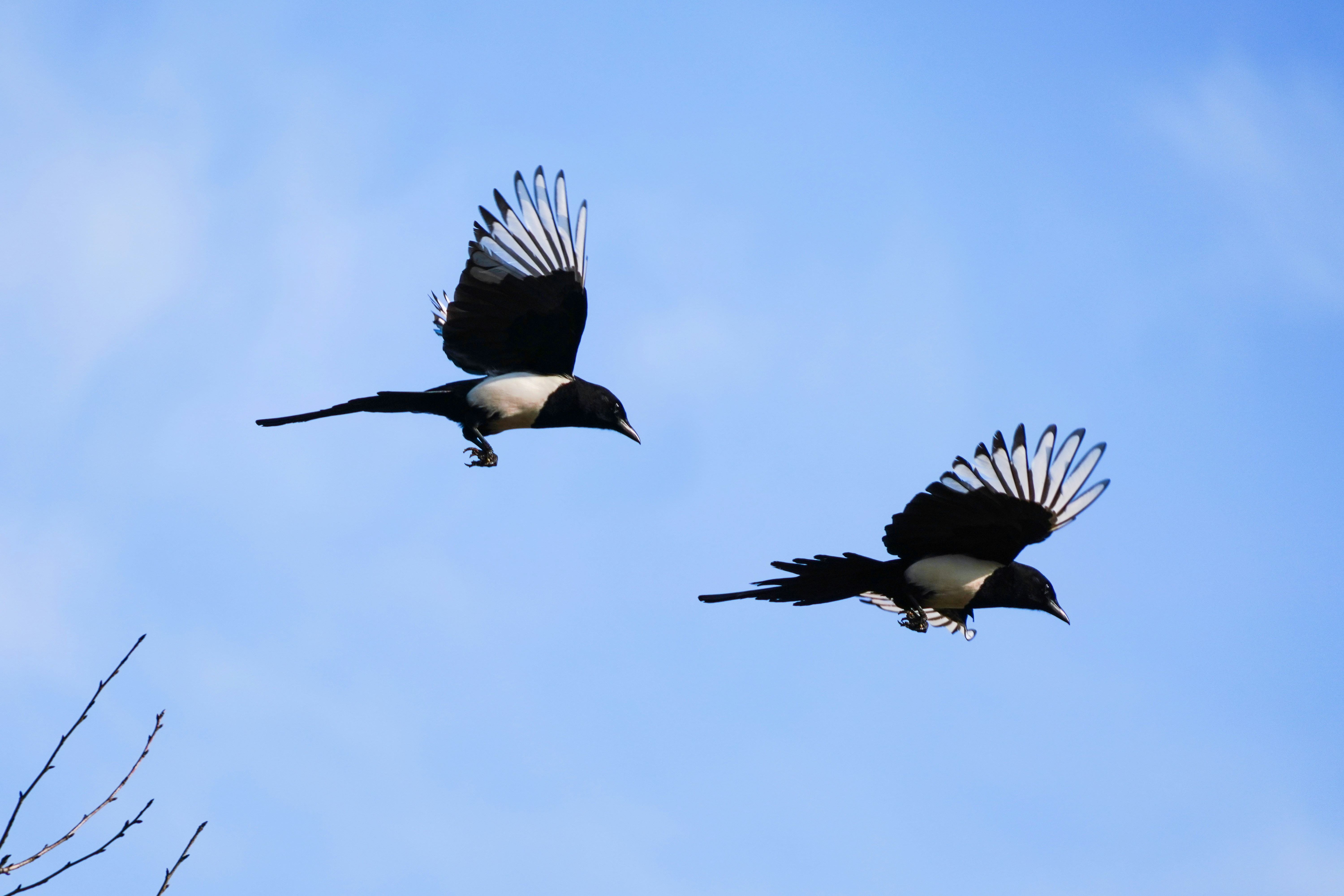 Photo by kim_dae_jeung