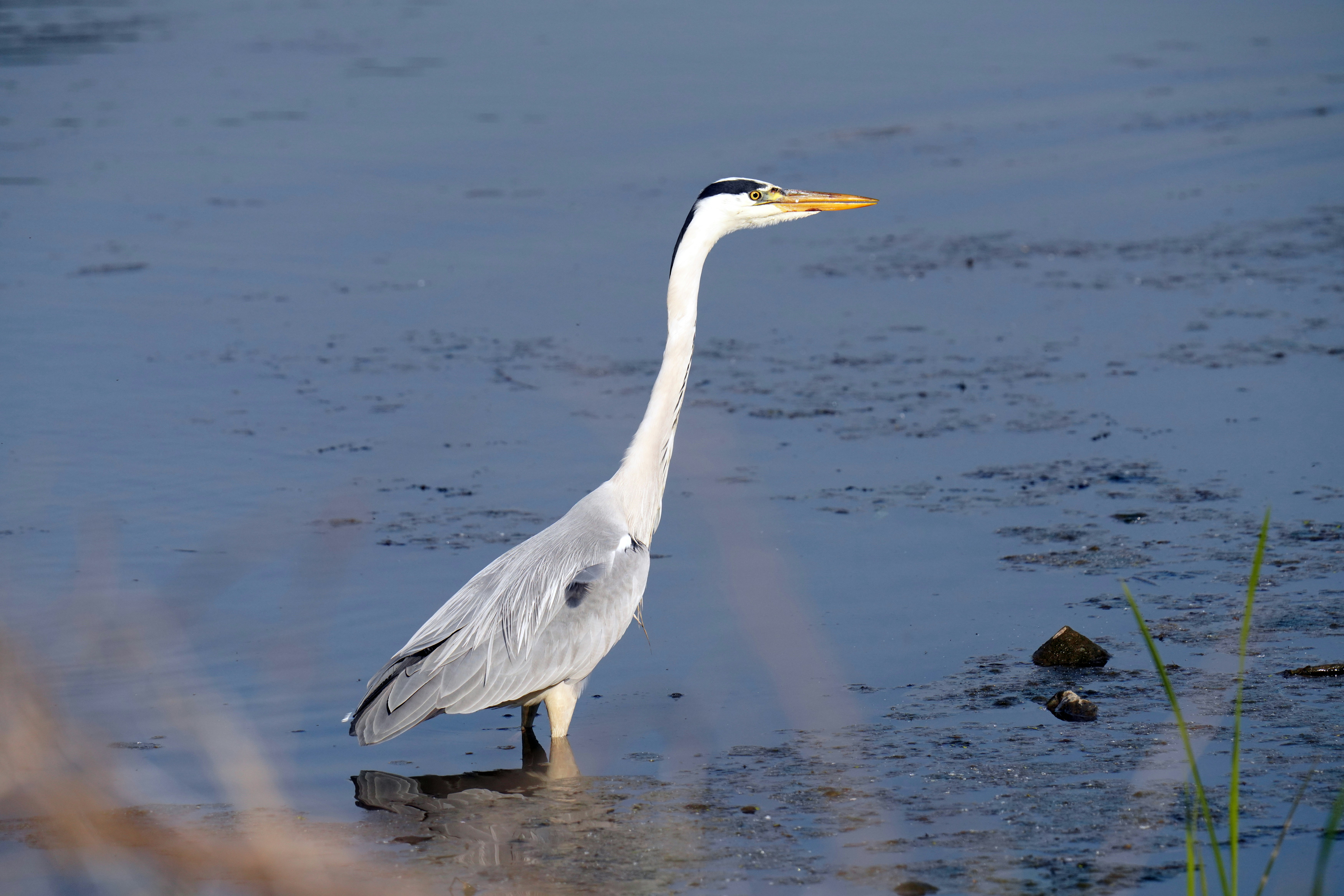 Photo by kim_dae_jeung