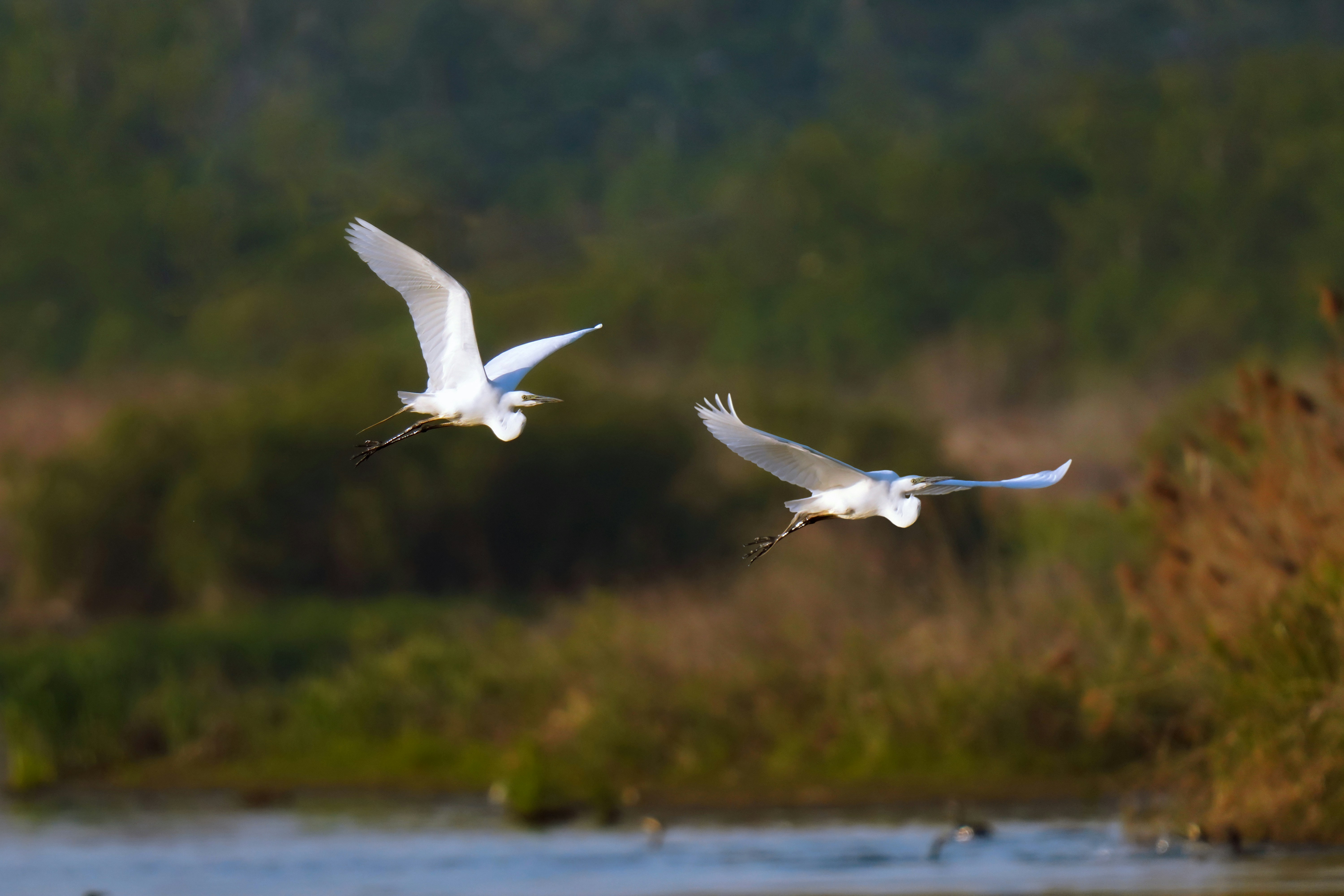 Photo by kim_dae_jeung