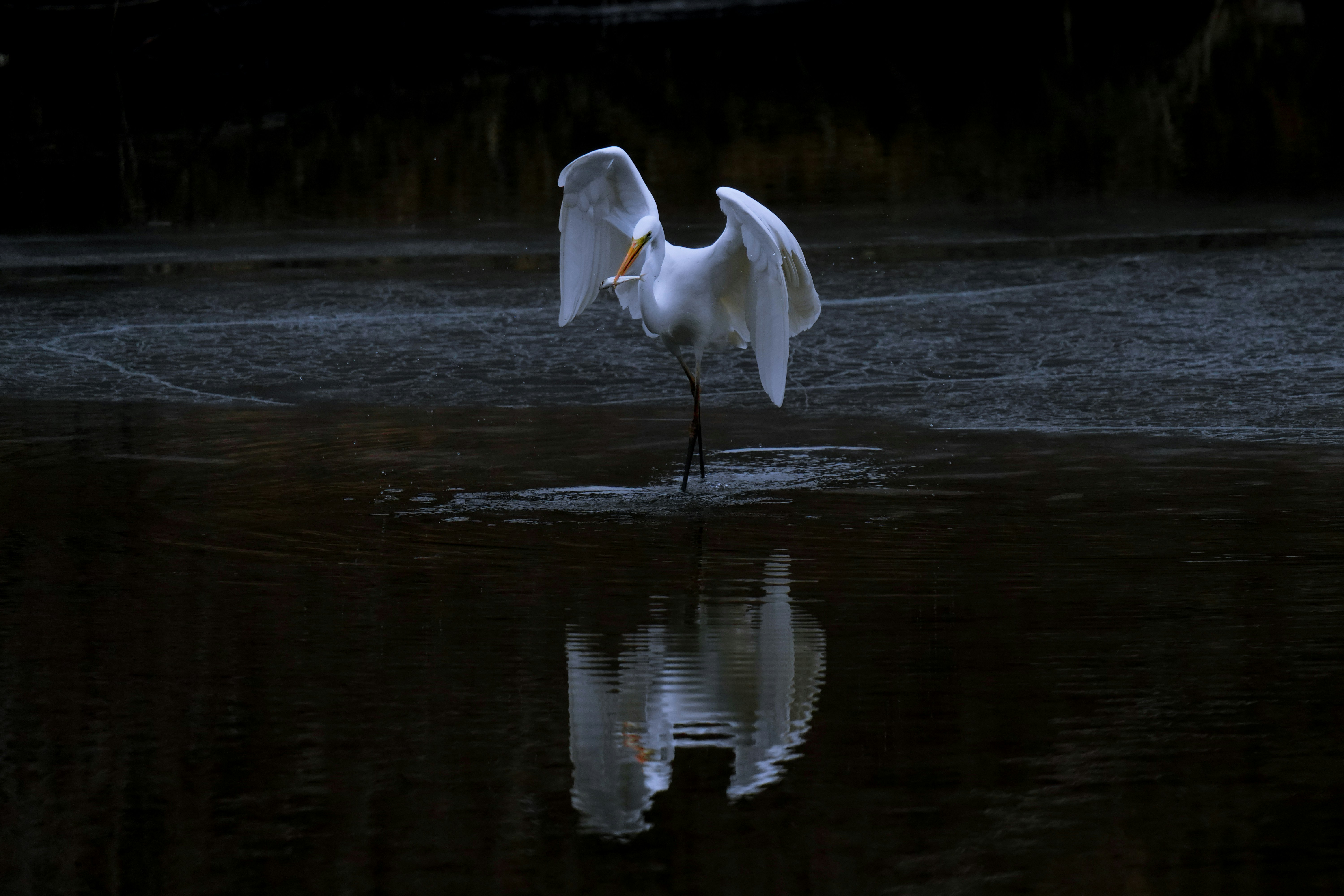 Photo by kim_dae_jeung