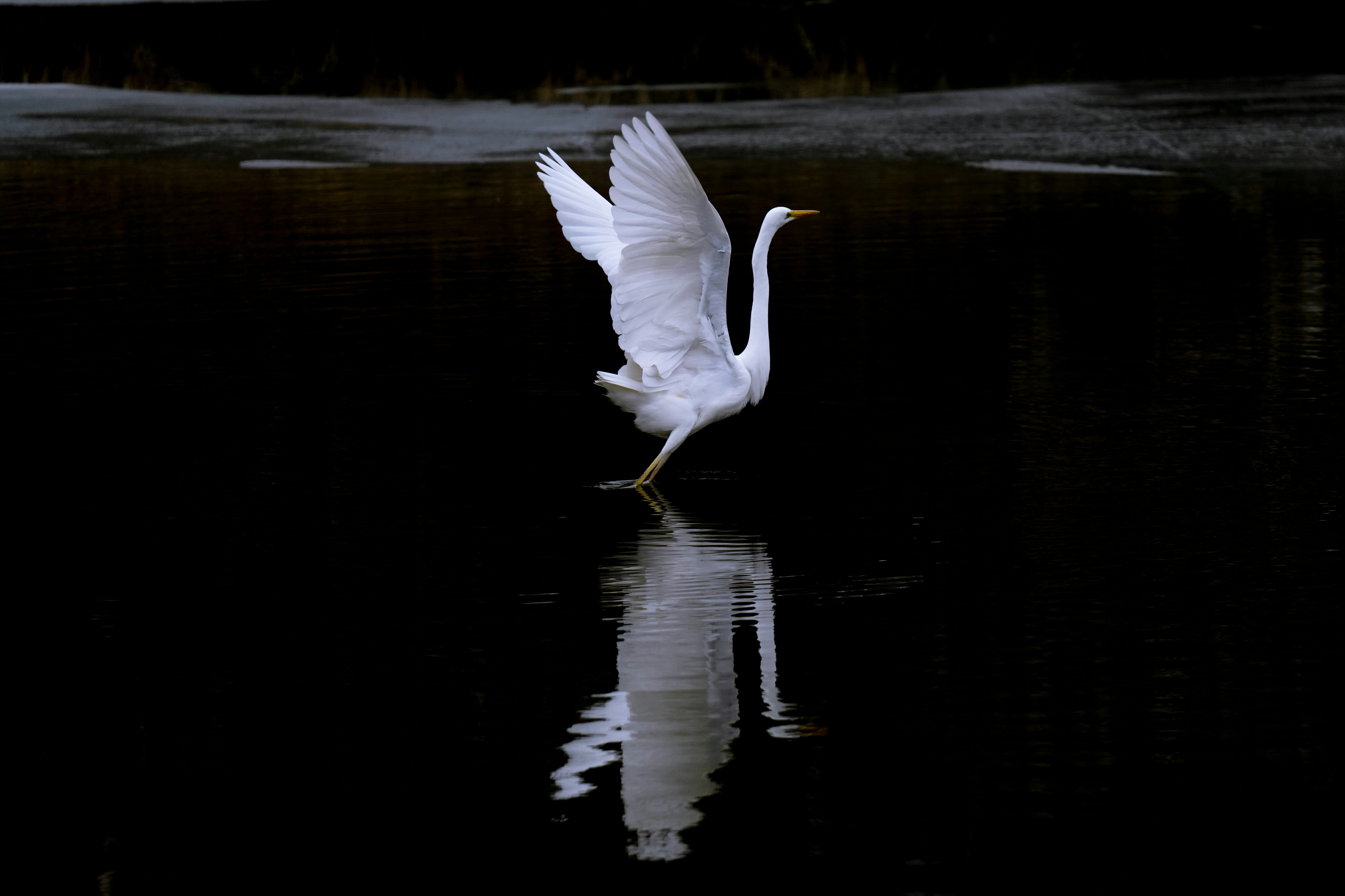 Photo by kim_dae_jeung